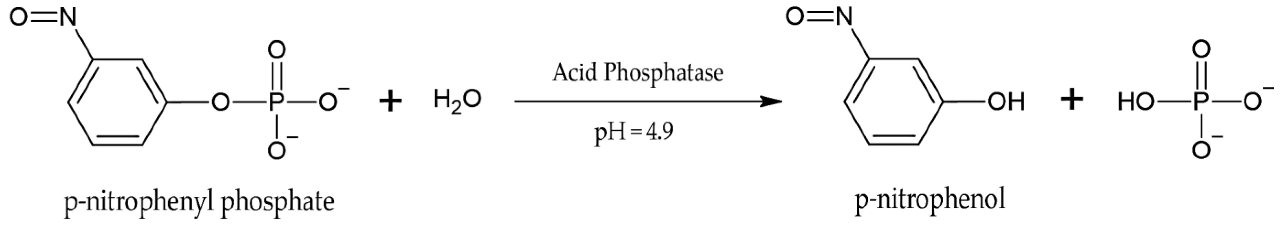 Agriculture 13 00462 g003