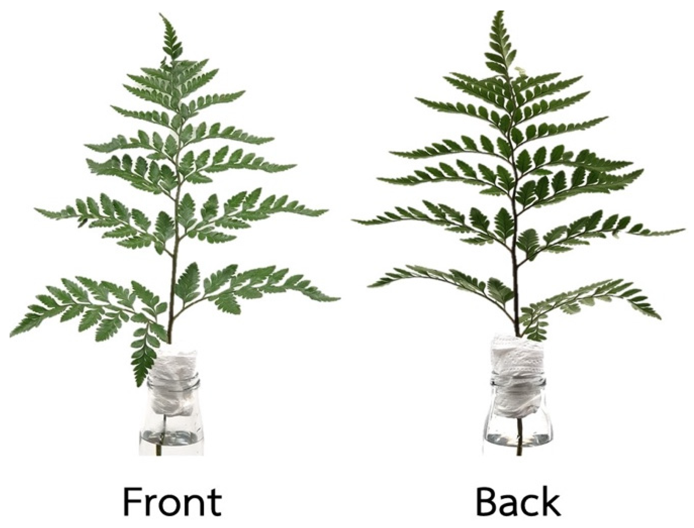 Agriculture 13 00463 g001