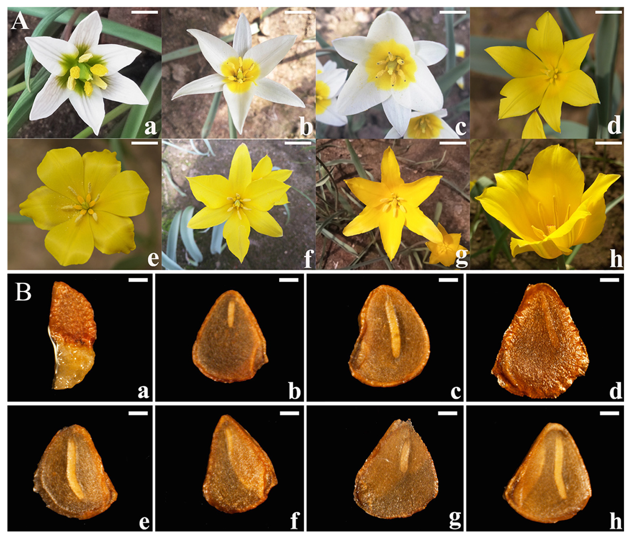 Agriculture 13 00466 g001