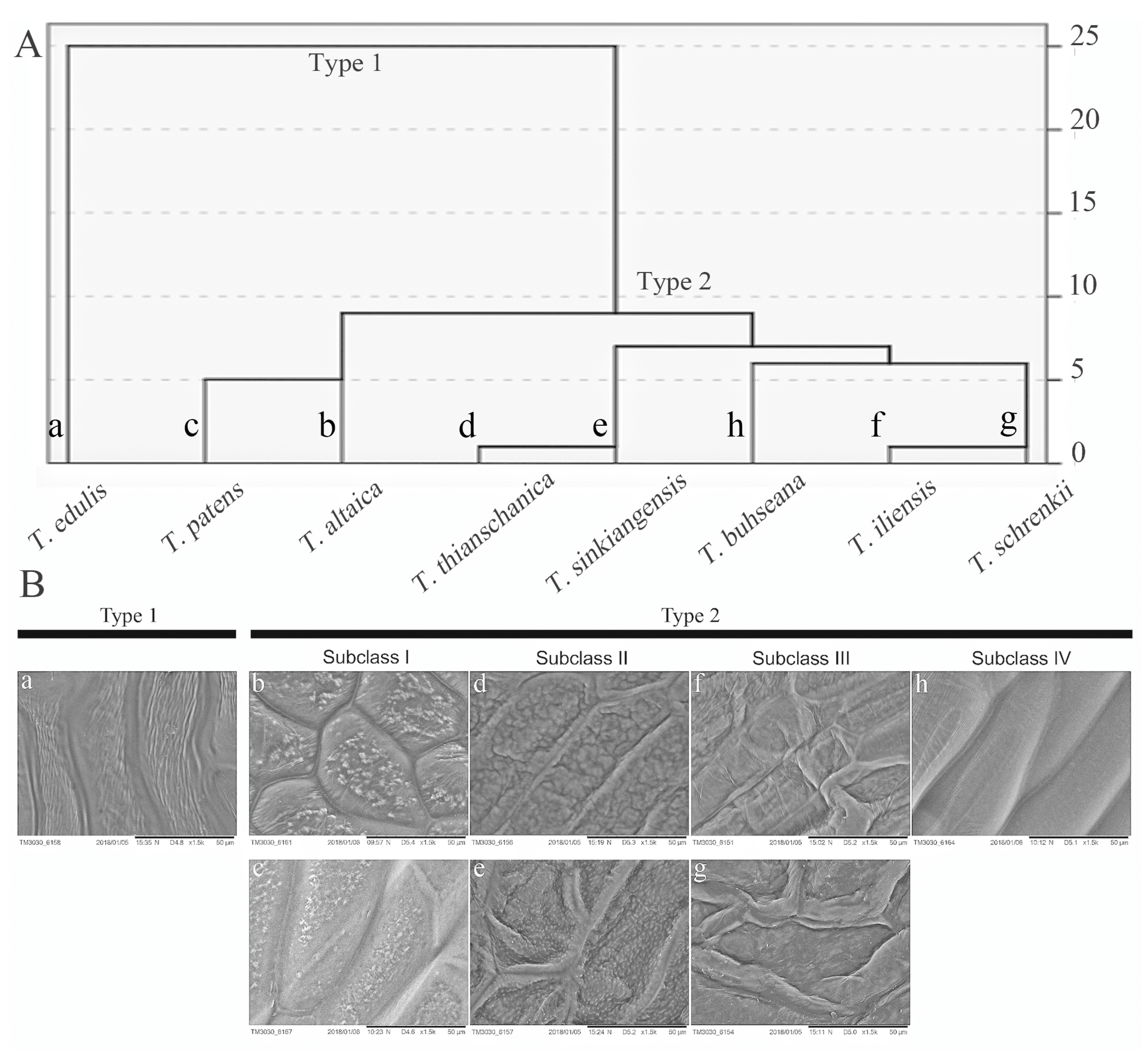 Agriculture 13 00466 g002