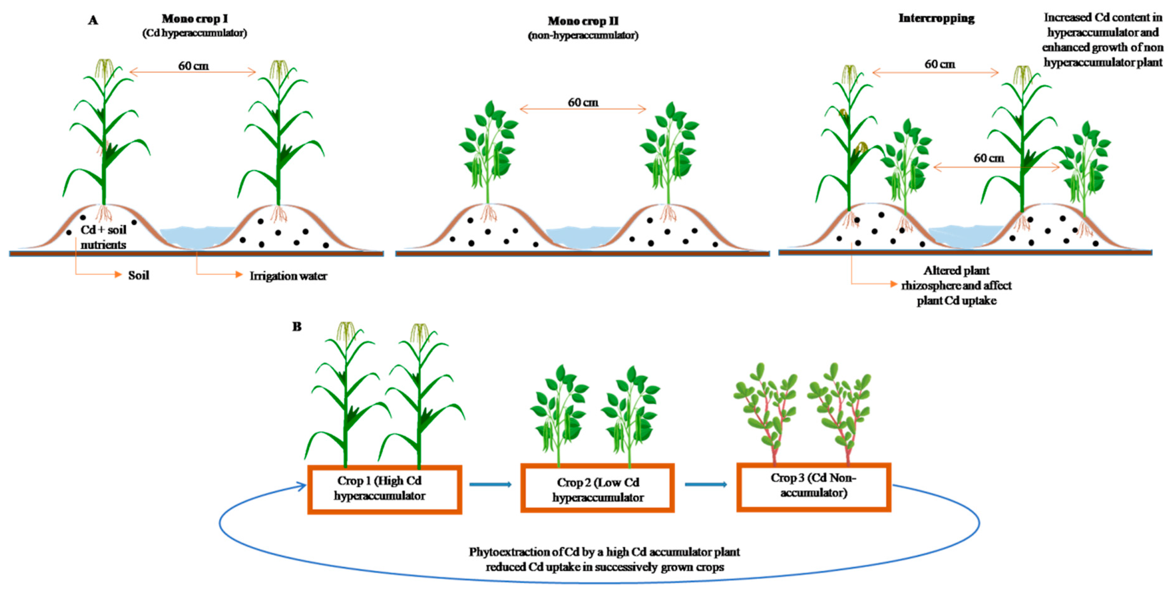 Agriculture 13 00471 g001