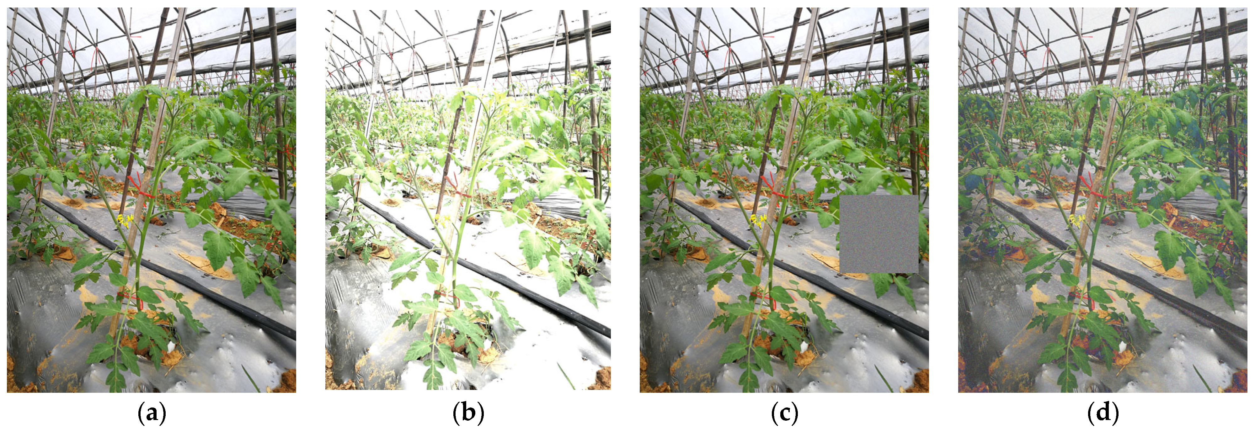 Agriculture 13 00473 g002