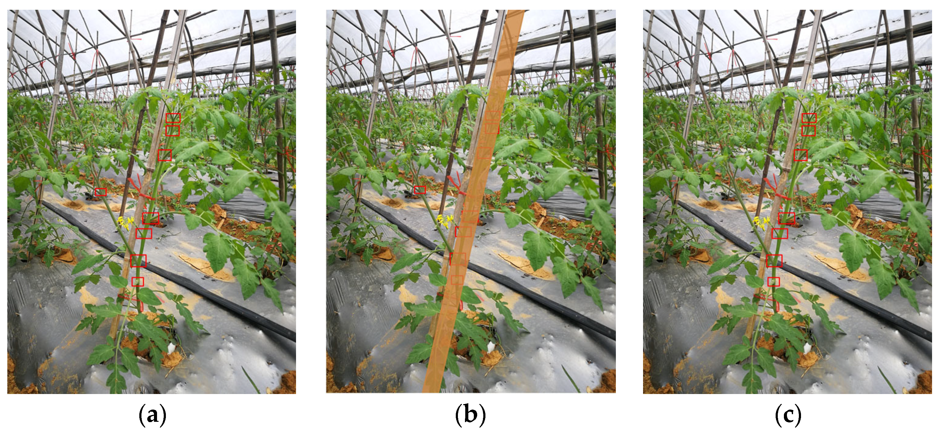 Agriculture 13 00473 g009