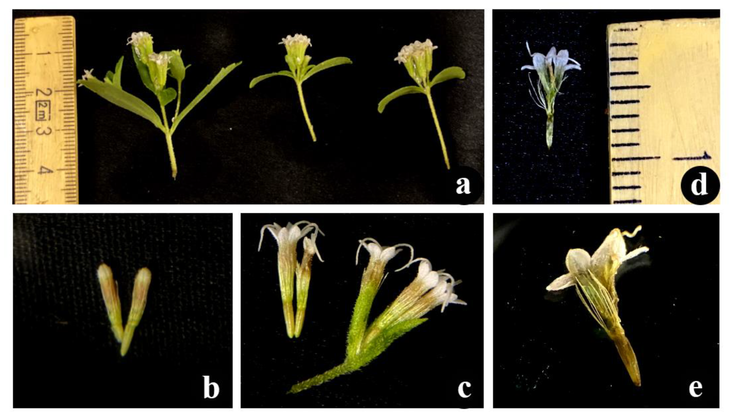 Agriculture 13 00475 g003