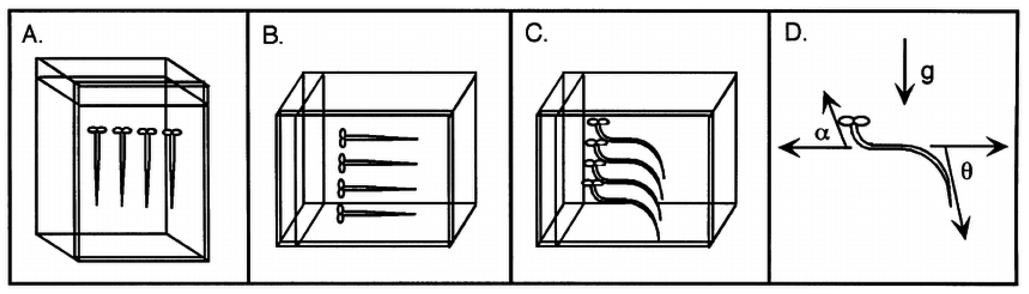 Agriculture 13 00481 g003