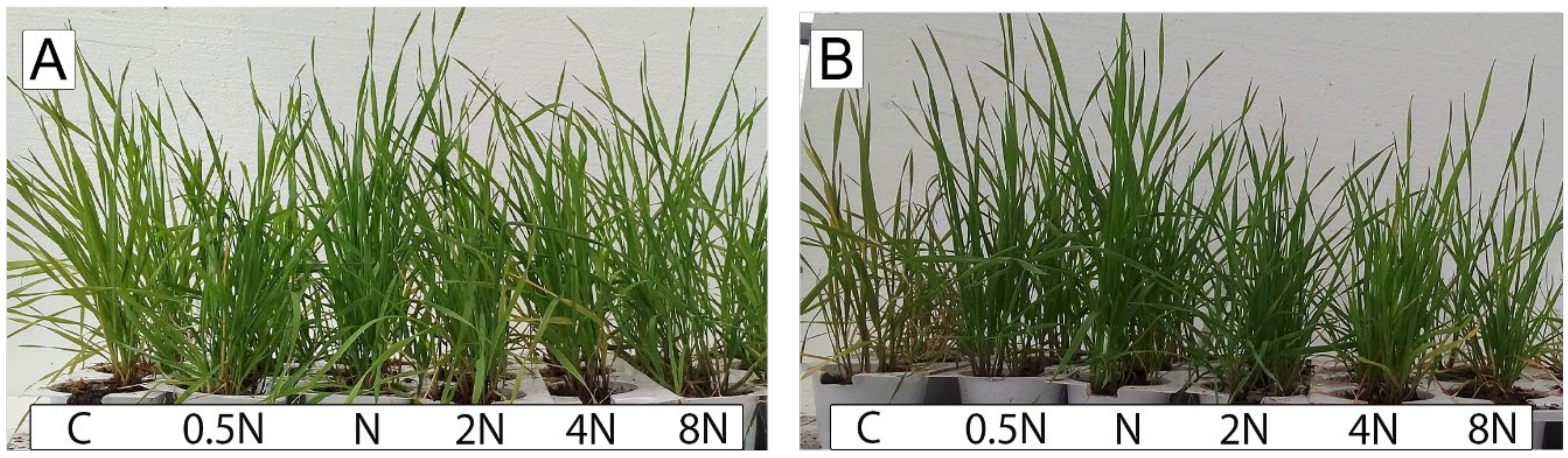 Agriculture 13 00483 g003