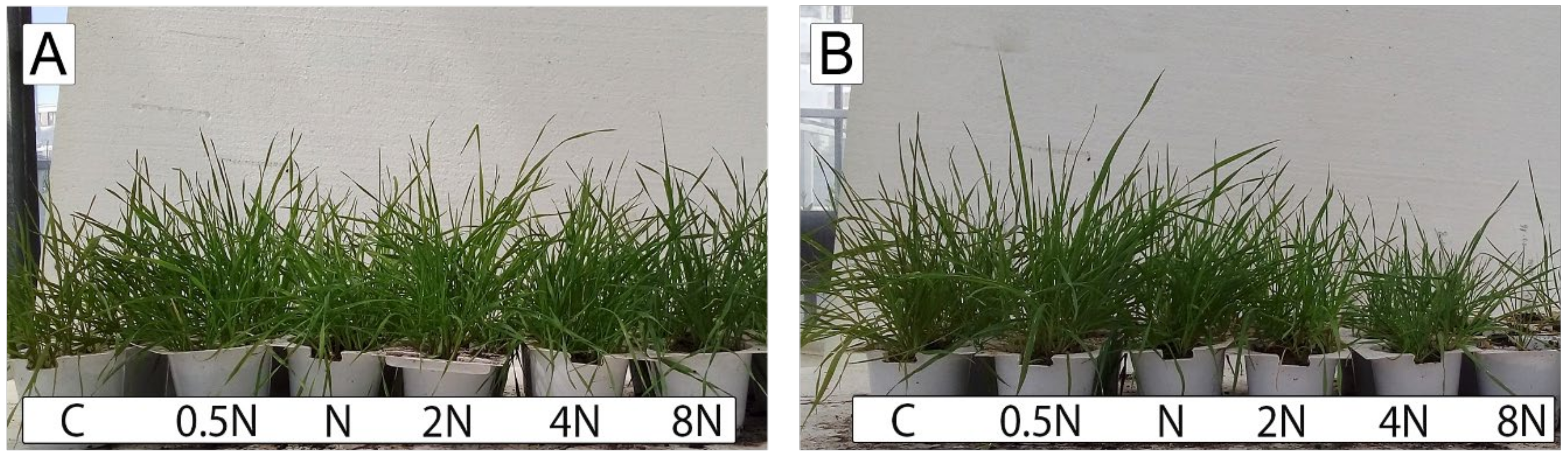 Agriculture 13 00483 g004