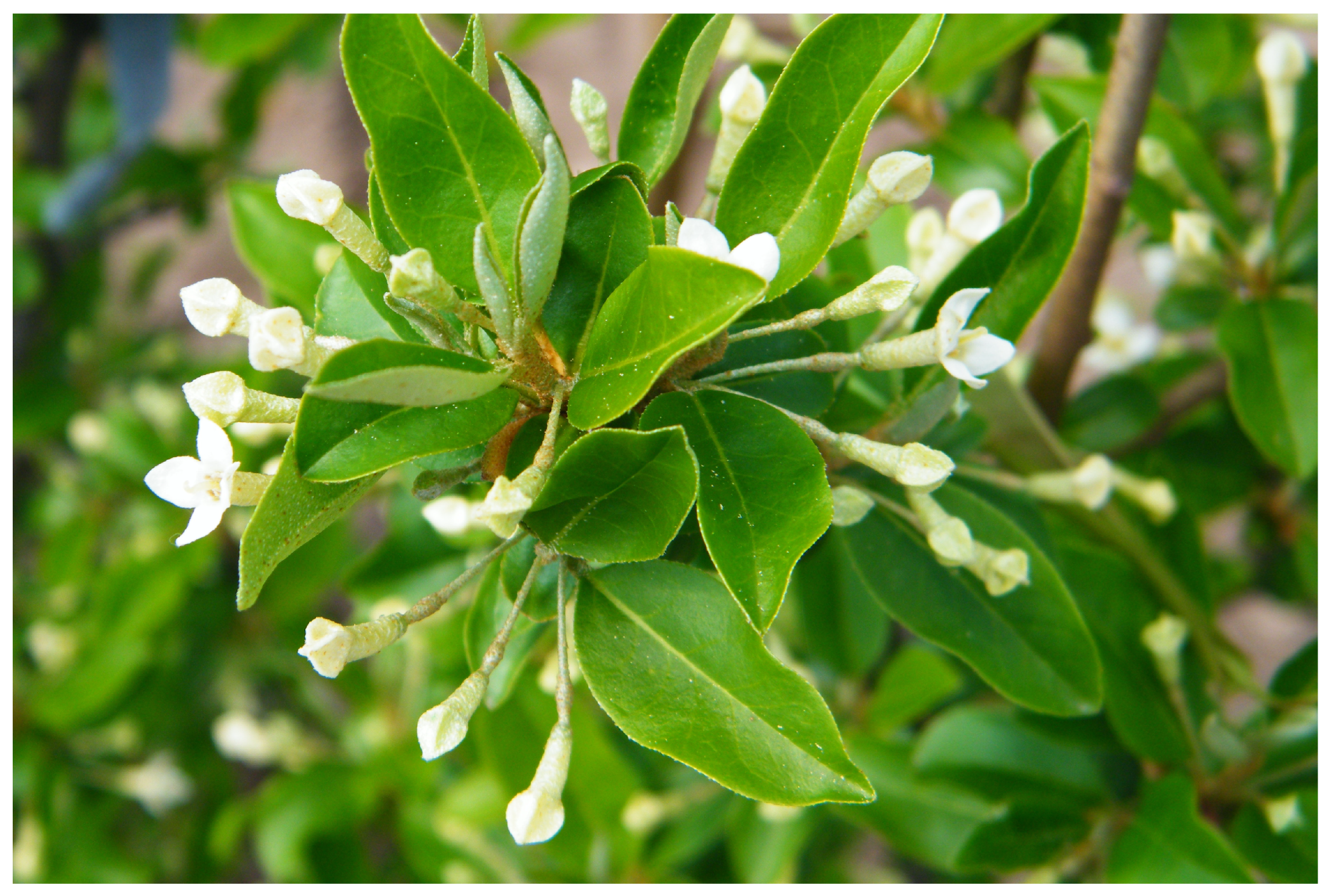 Agriculture 13 00495 g003