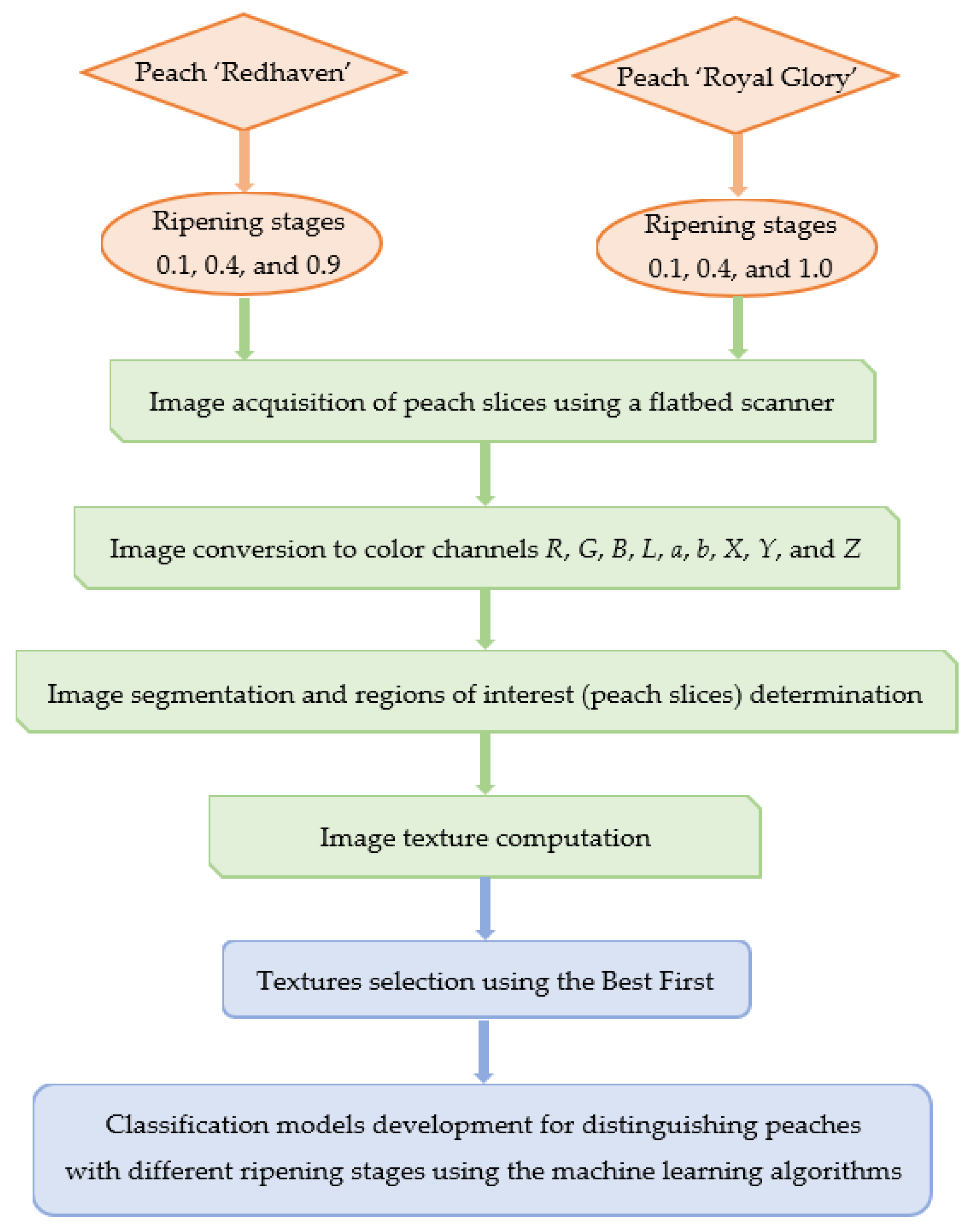 Agriculture 13 00498 g002