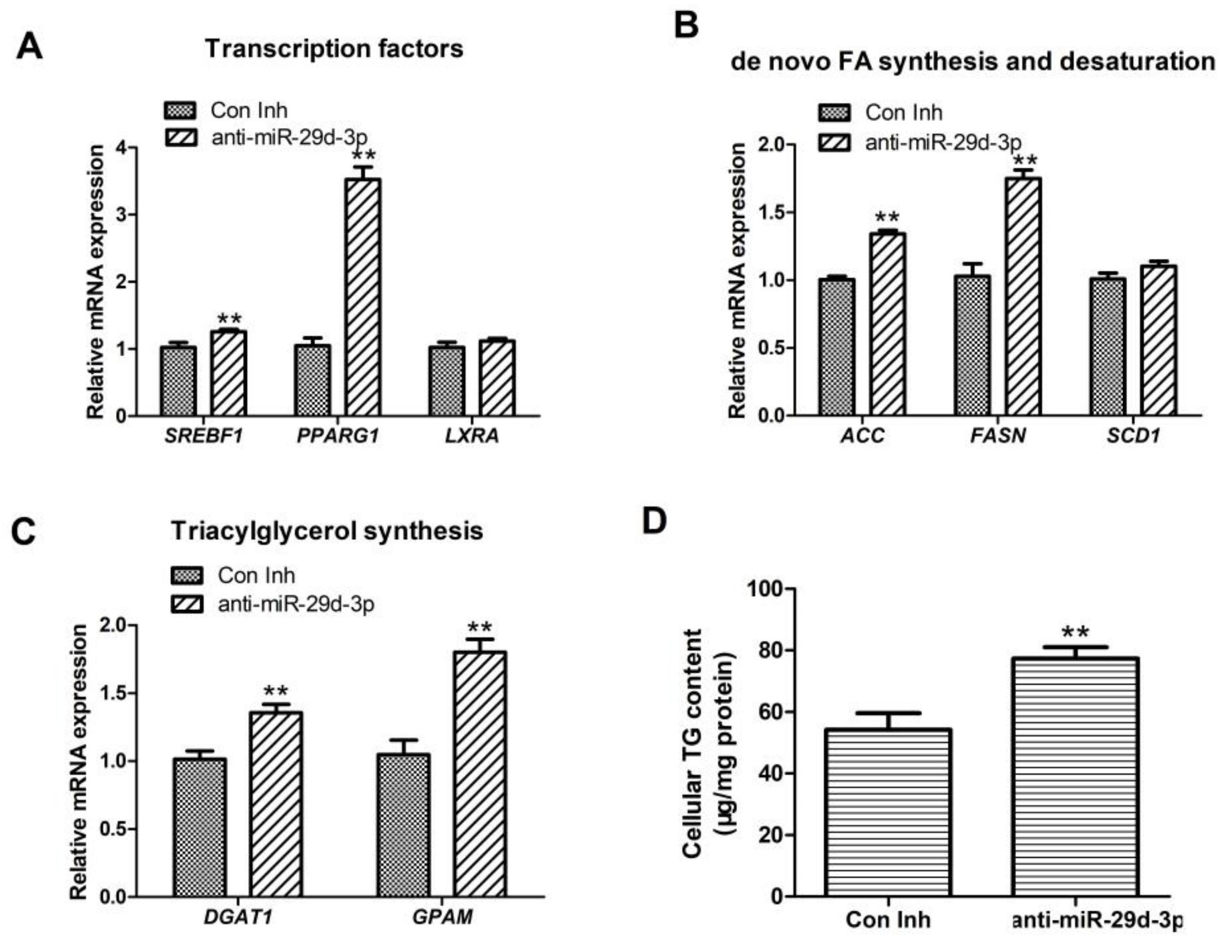 Agriculture 13 00501 g003