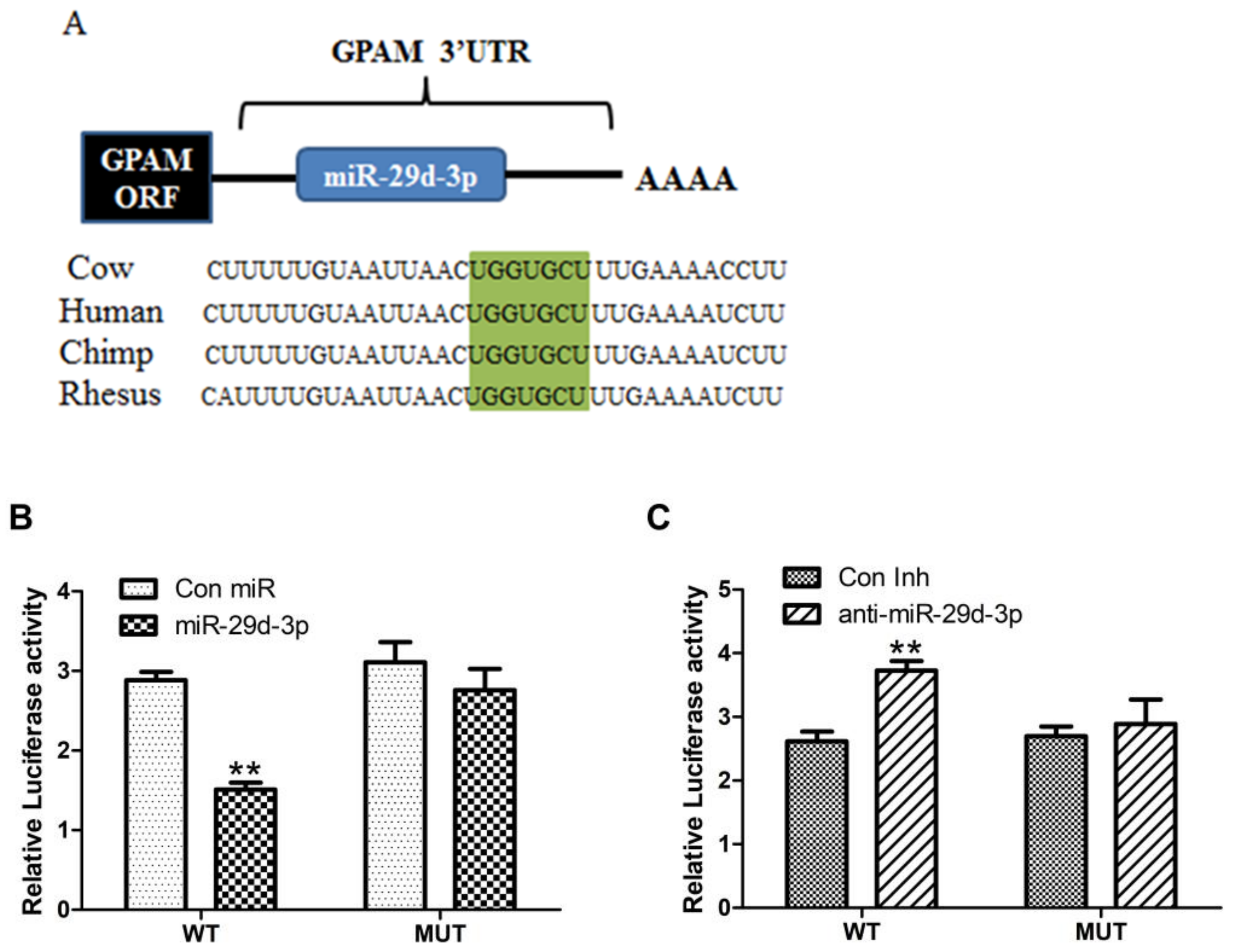 Agriculture 13 00501 g004