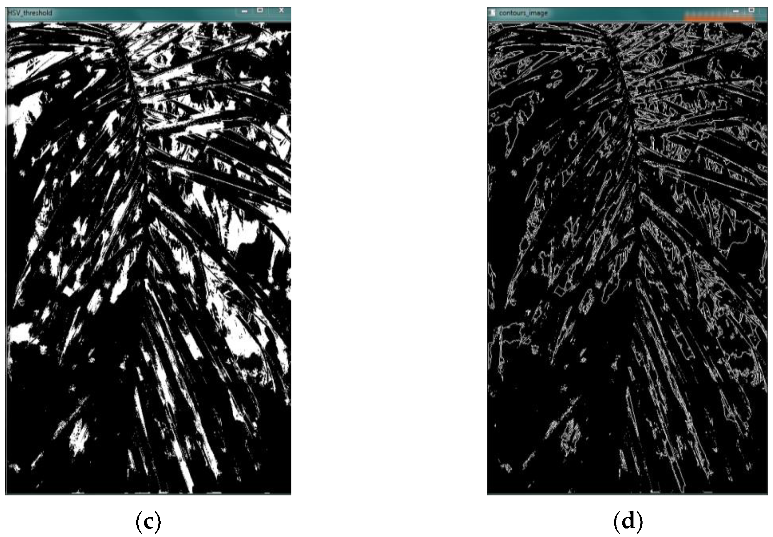 Agriculture 13 00504 g008b