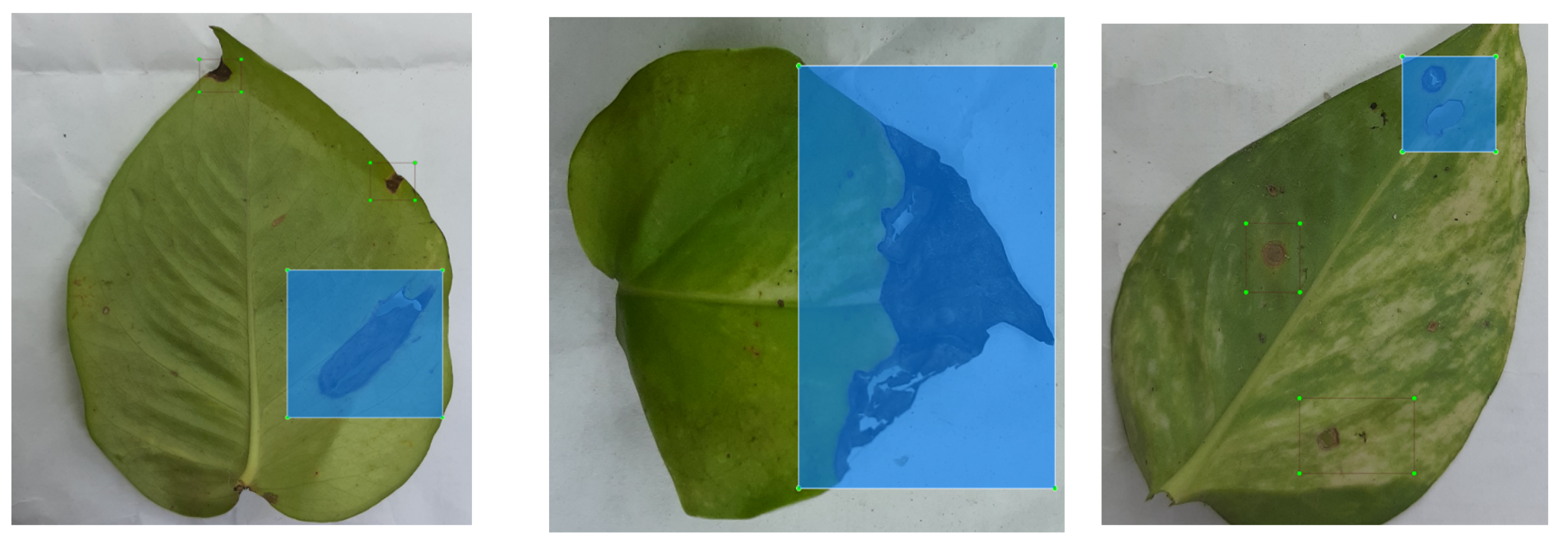 Agriculture 13 00510 g005