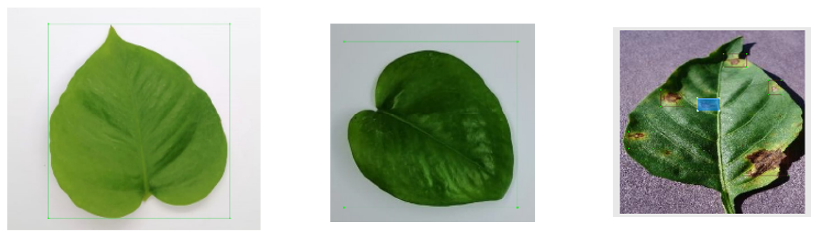 Agriculture 13 00510 g006