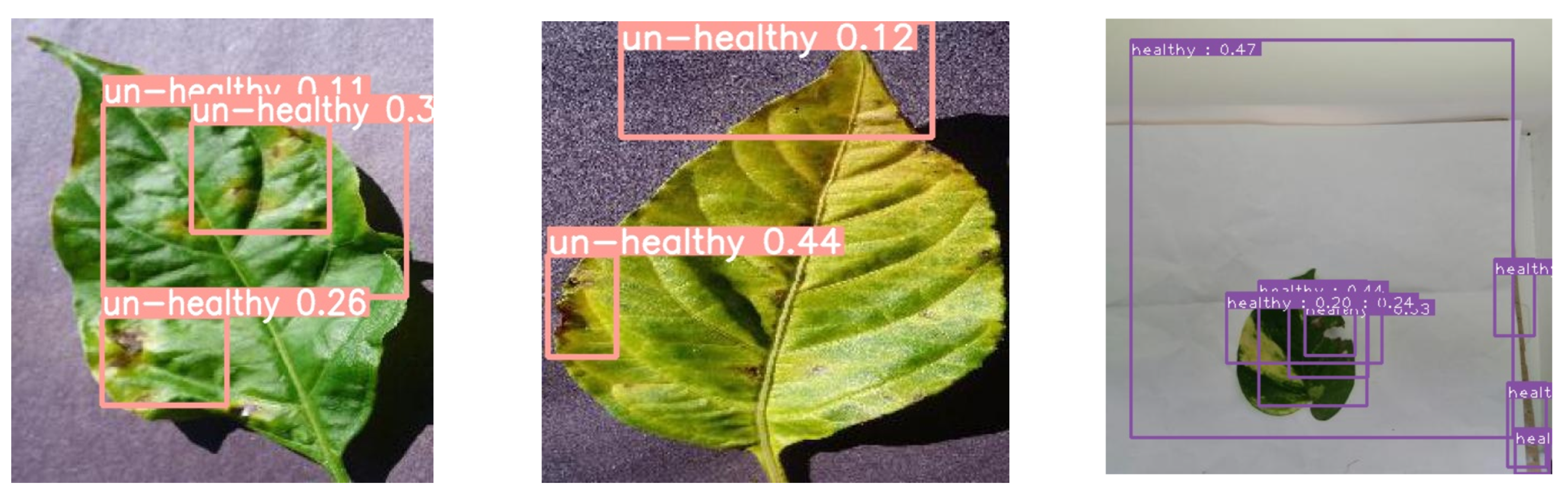 Agriculture 13 00510 g016