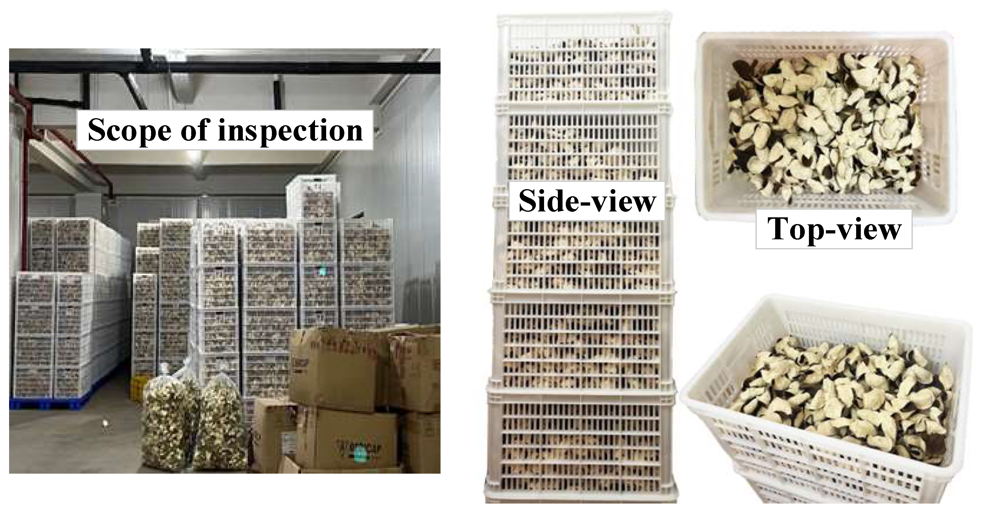 Agriculture 13 00528 g001