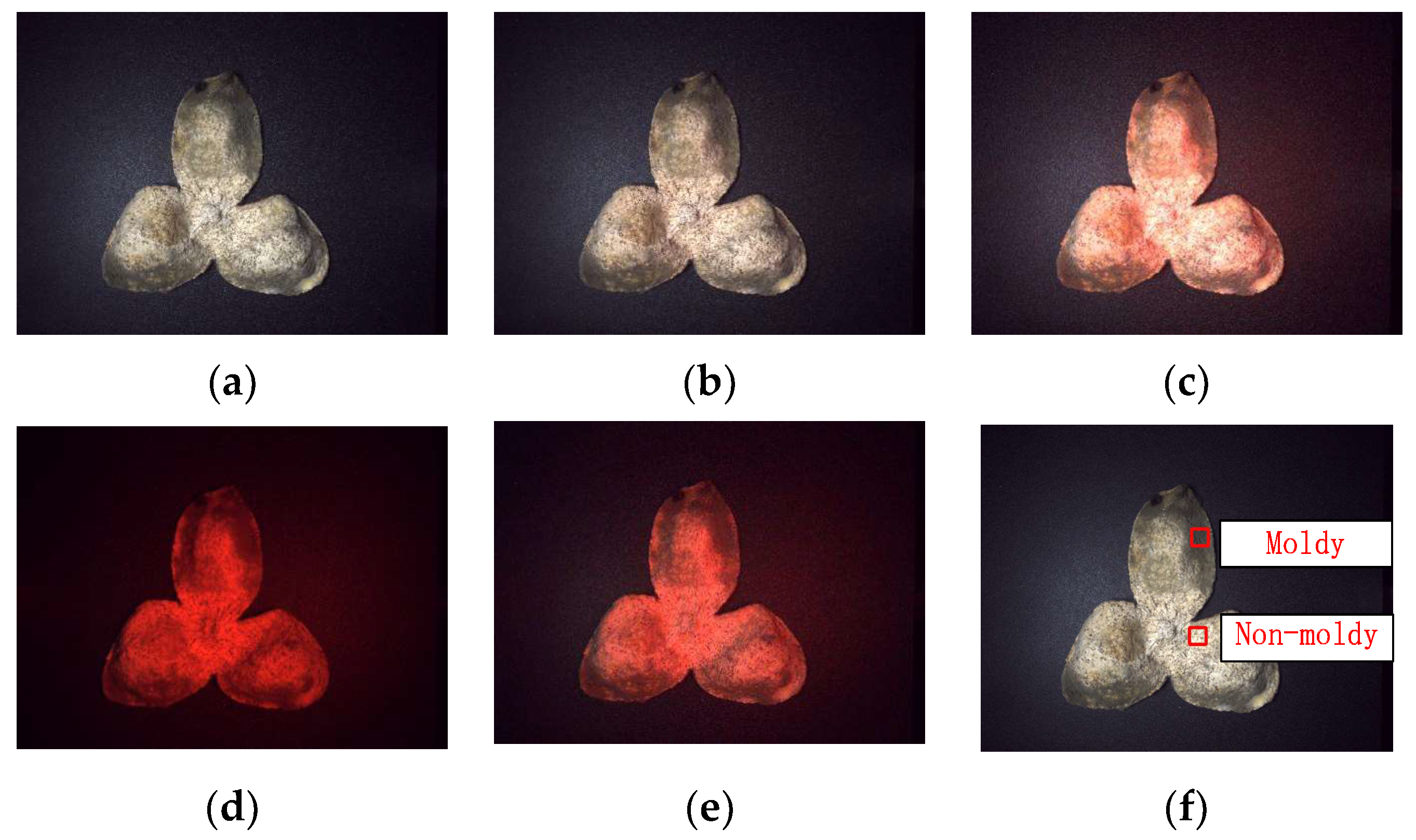 Agriculture 13 00528 g009