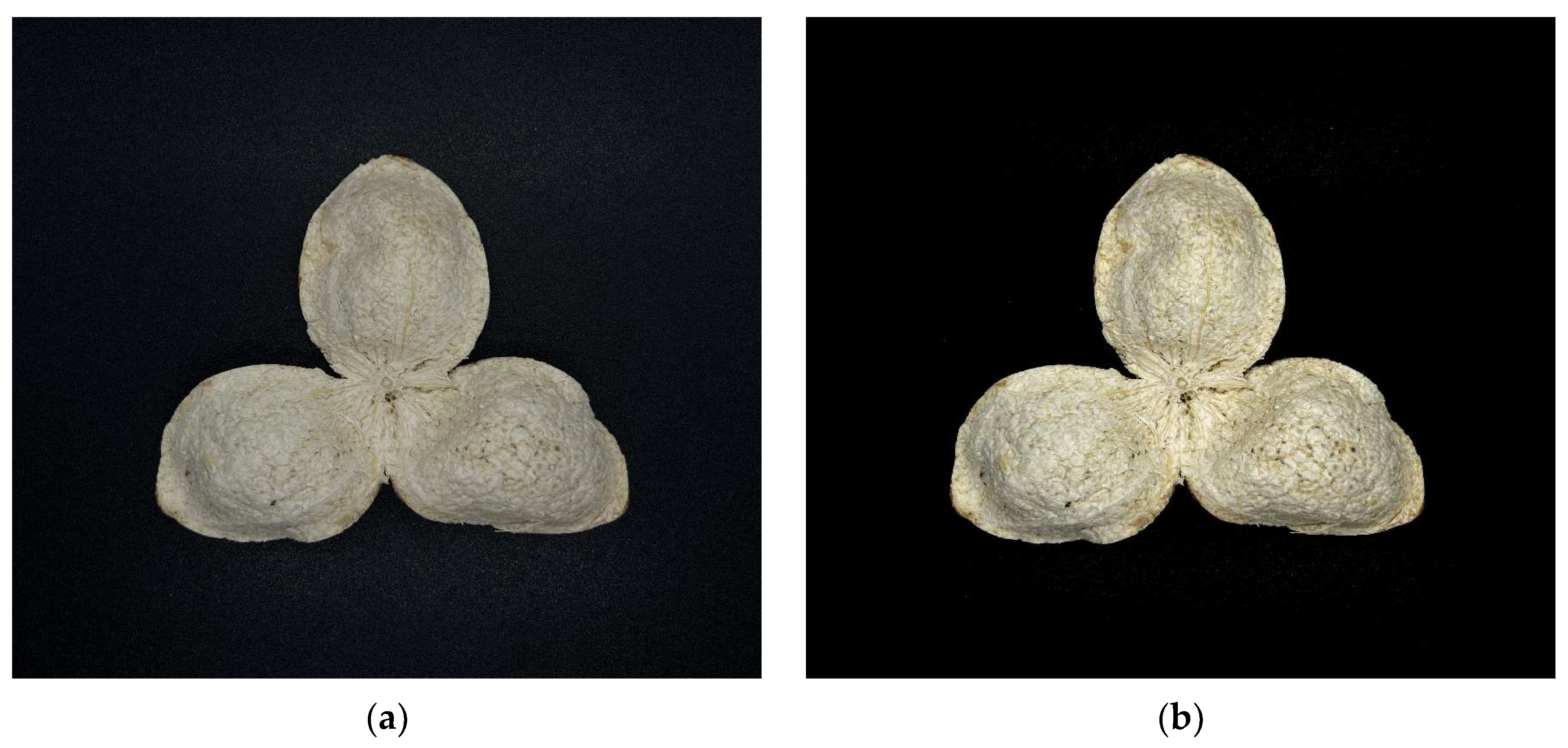 Agriculture 13 00528 g010a