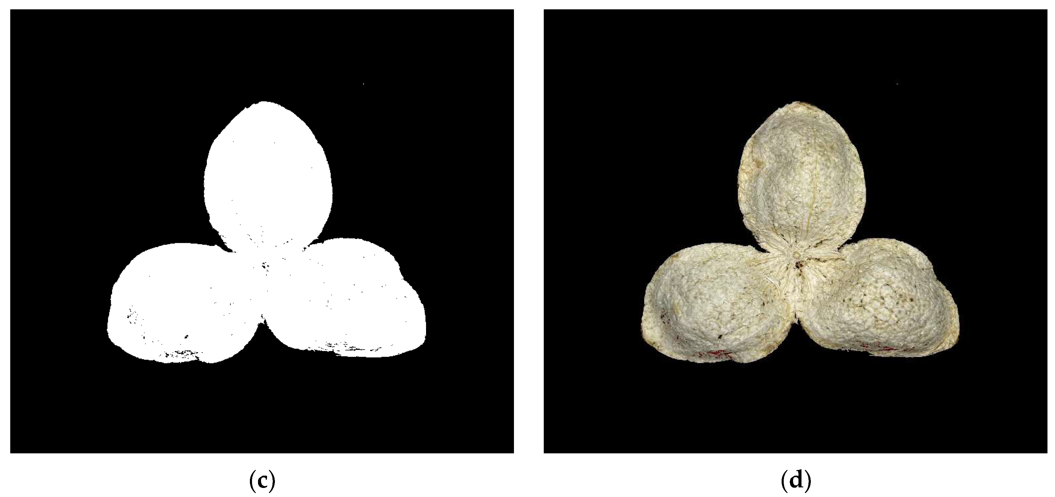 Agriculture 13 00528 g010b