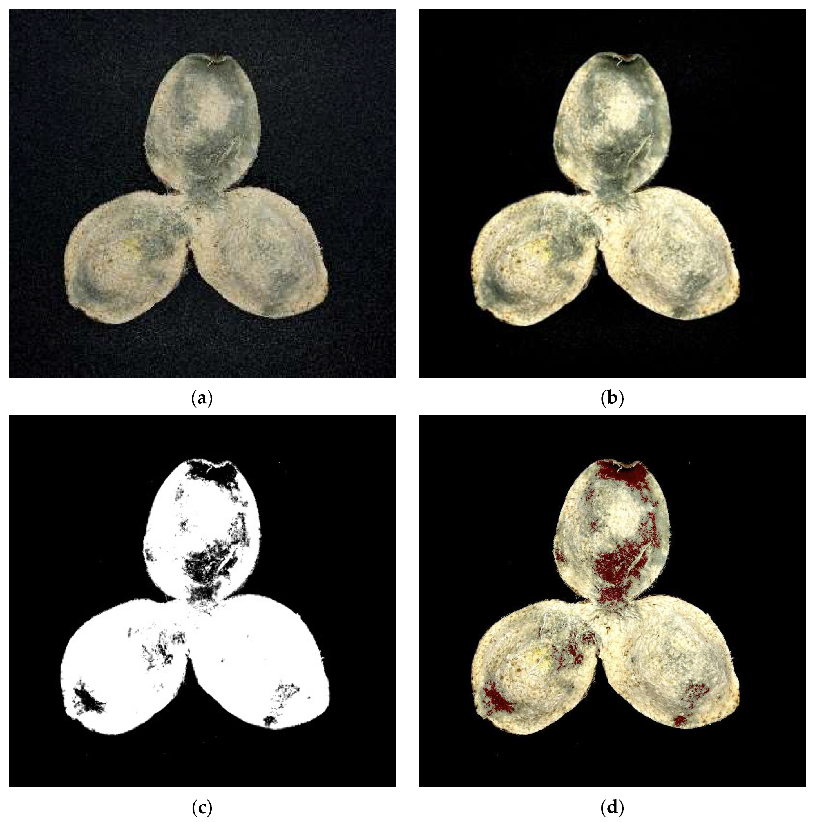 Agriculture 13 00528 g011