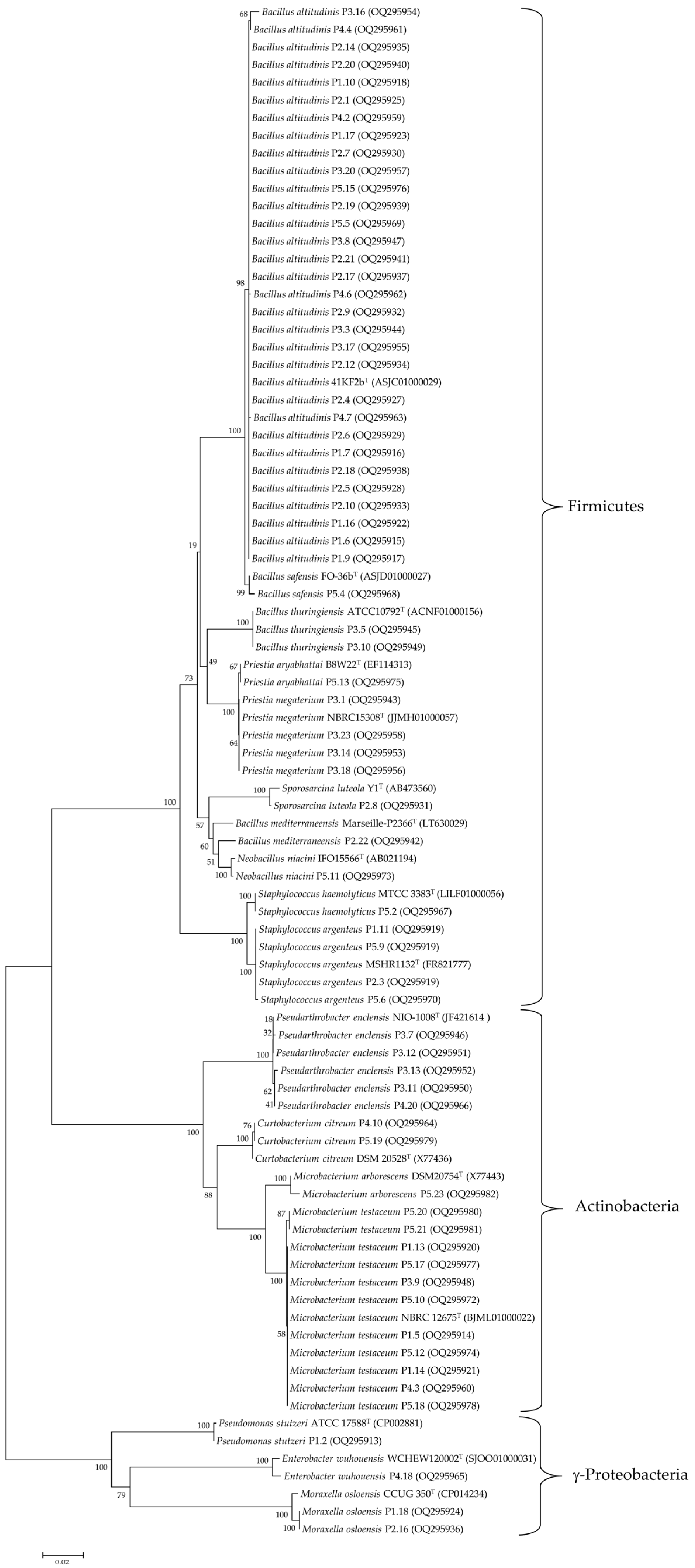 Agriculture 13 00533 g001