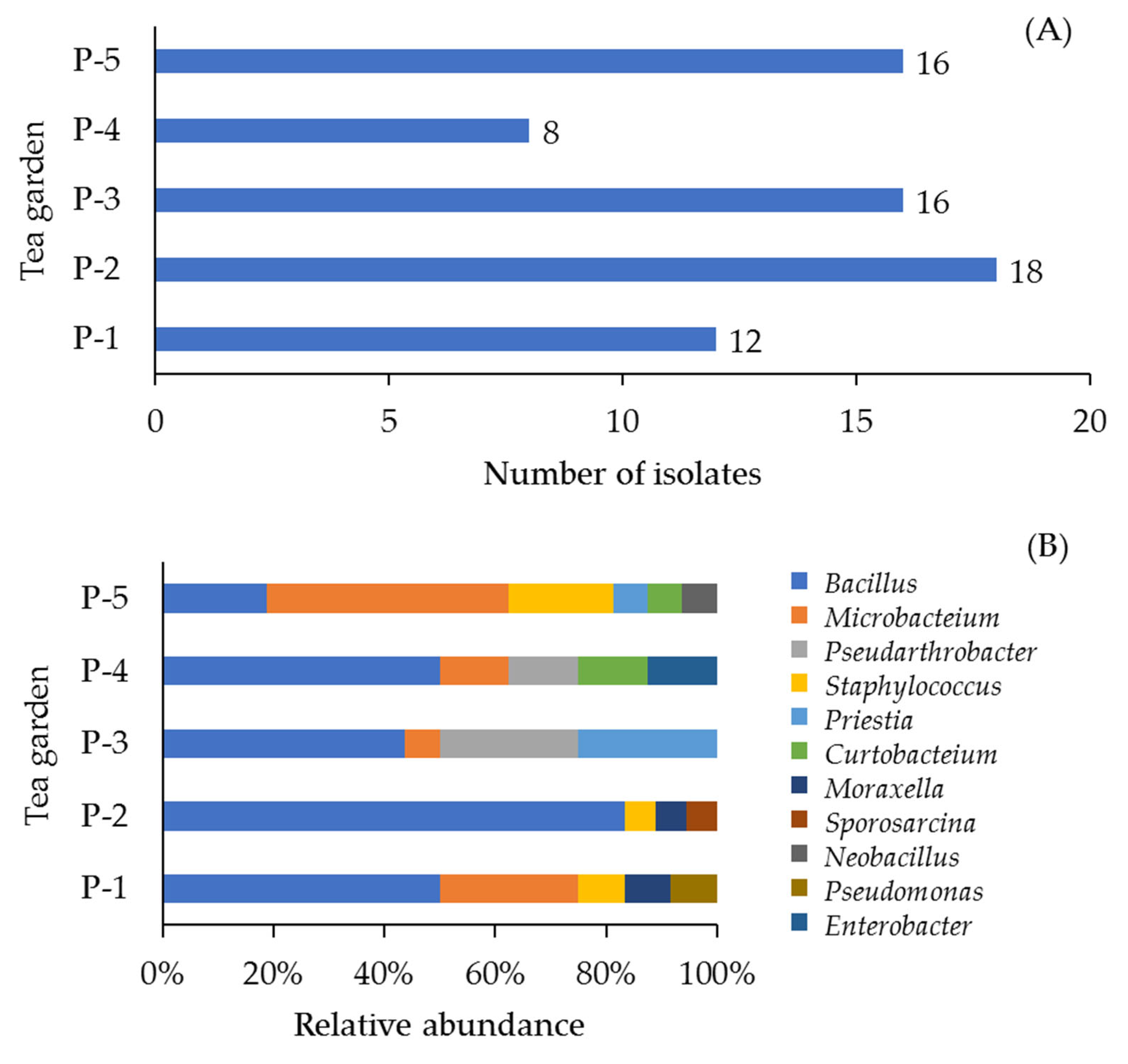 Agriculture 13 00533 g002