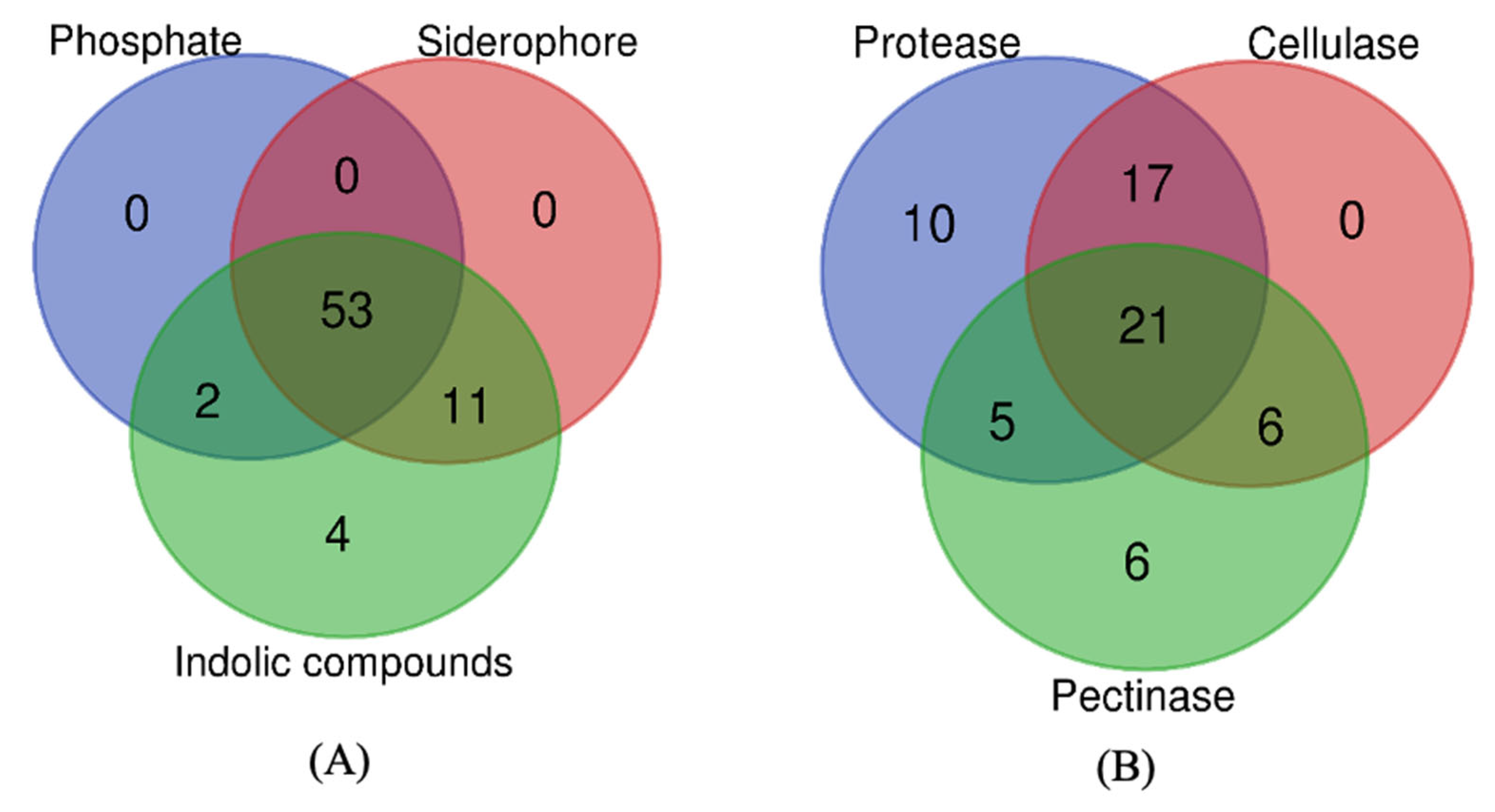Agriculture 13 00533 g004