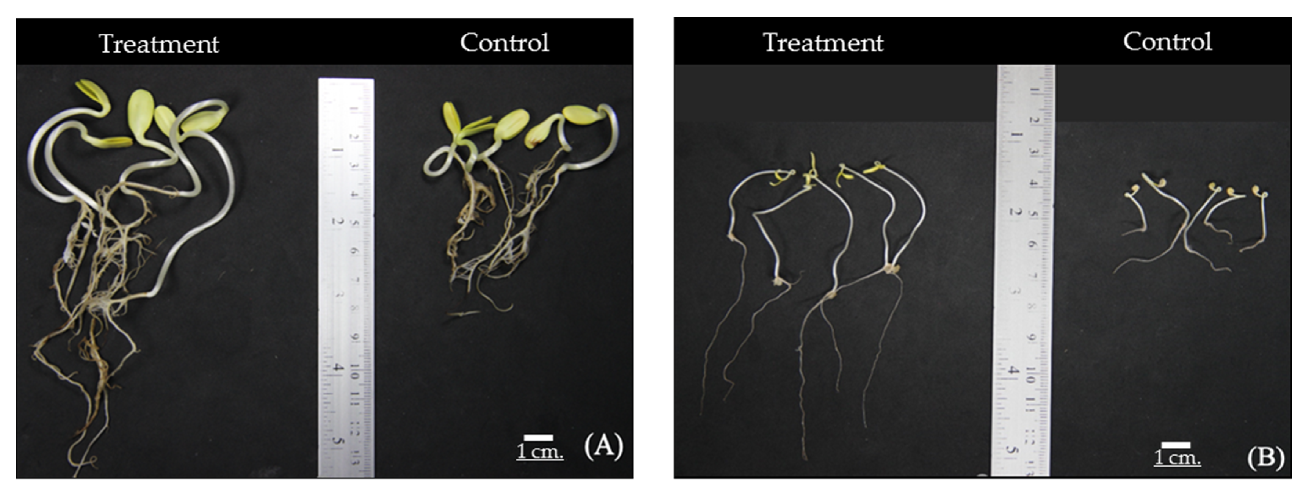 Agriculture 13 00533 g006