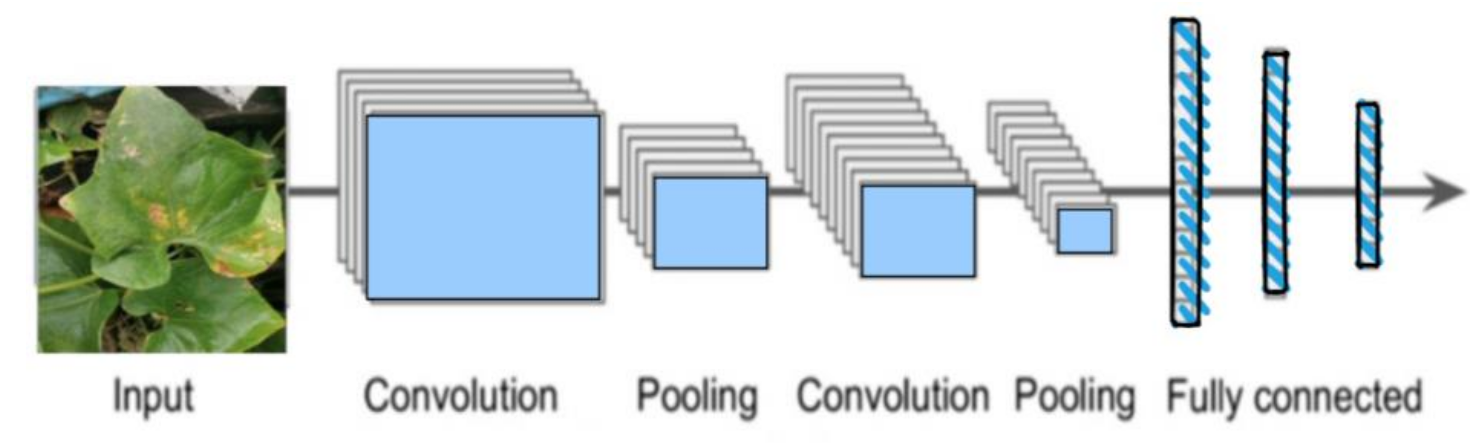 Agriculture 13 00540 g003