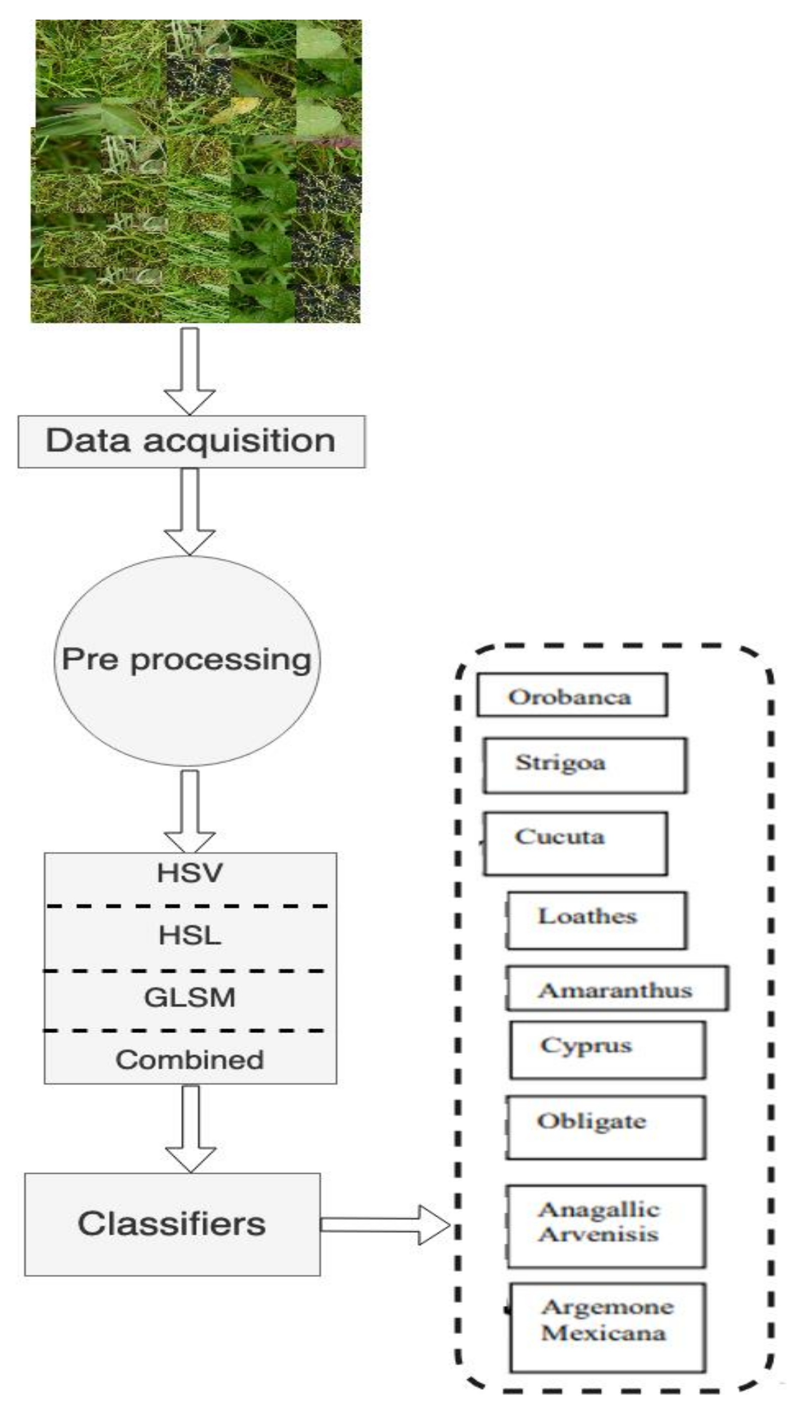 Agriculture 13 00540 g008
