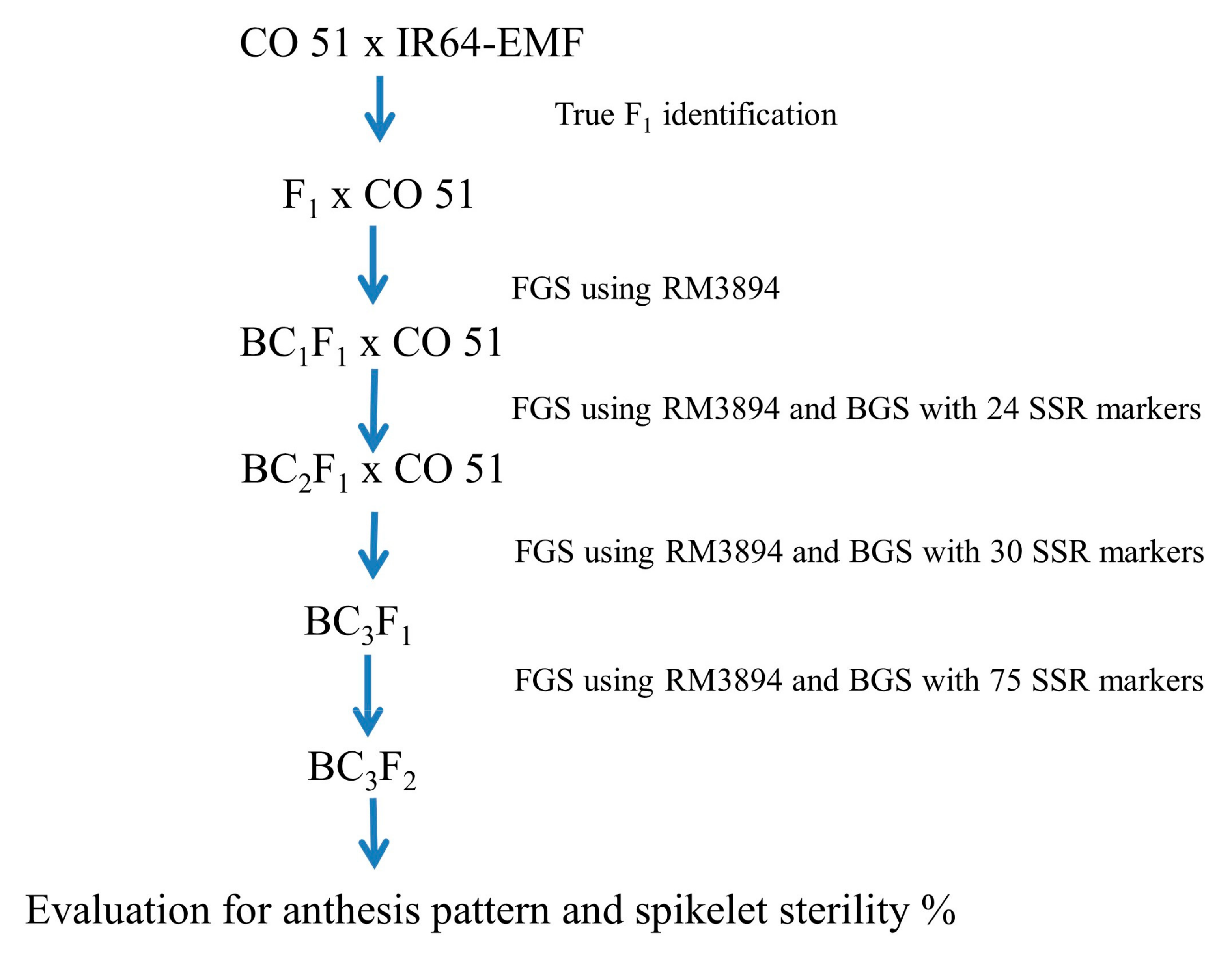 Agriculture 13 00553 g001