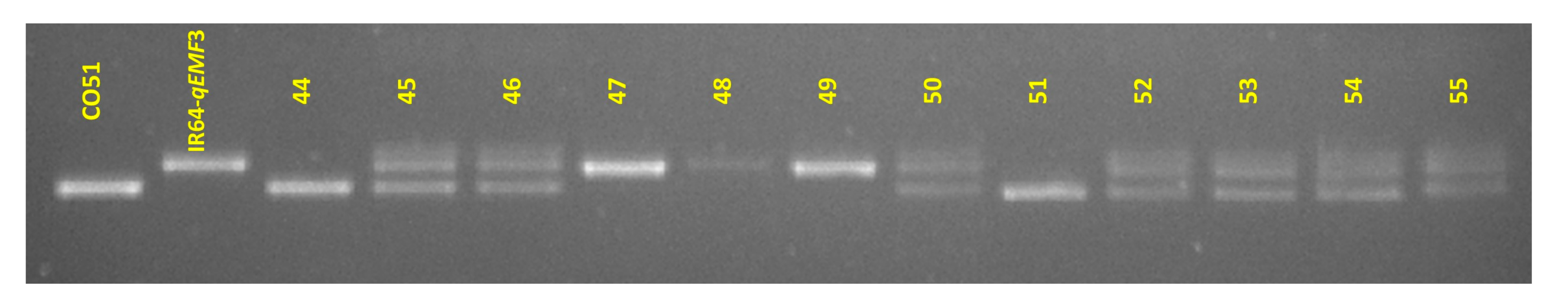 Agriculture 13 00553 g003