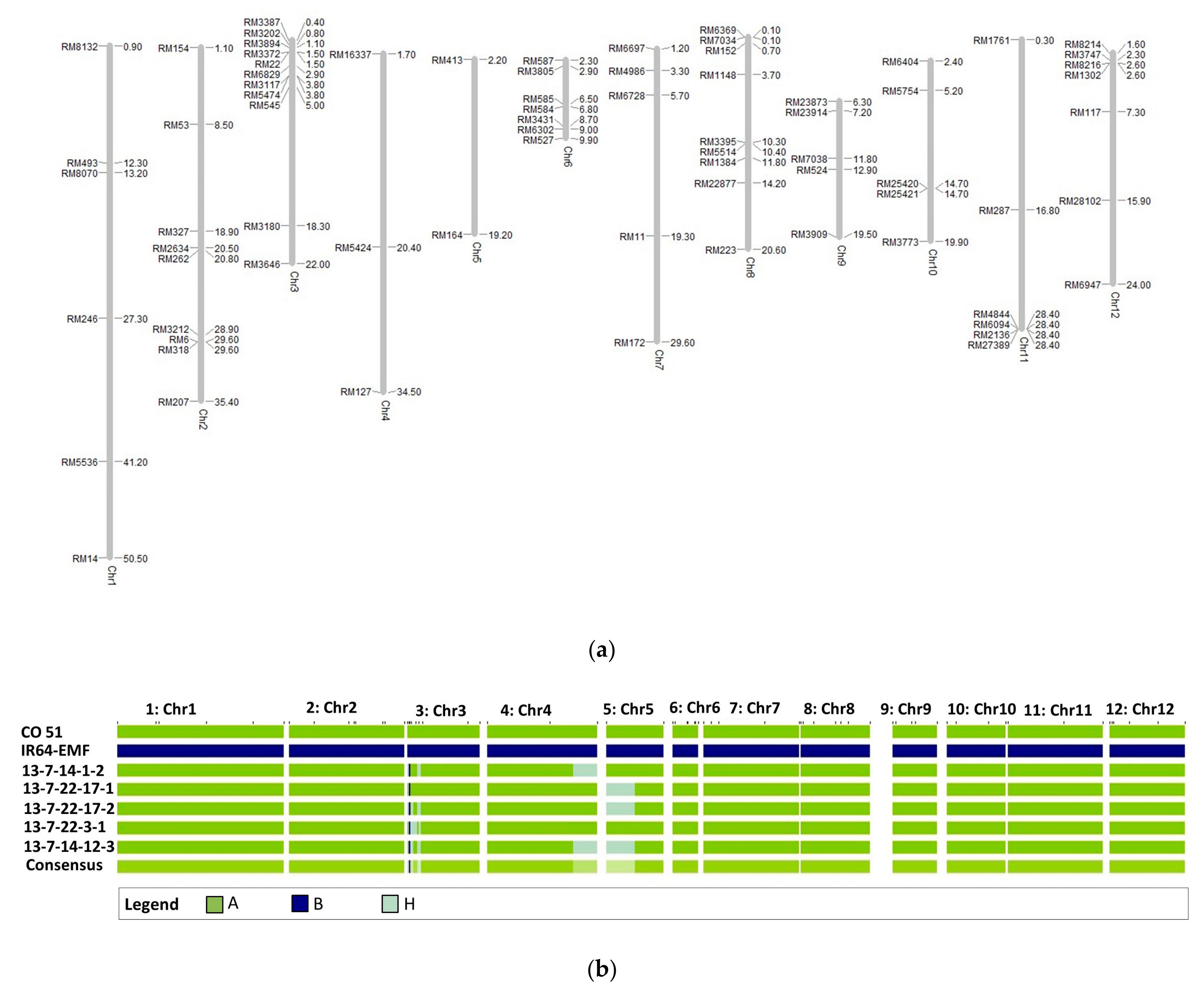 Agriculture 13 00553 g004