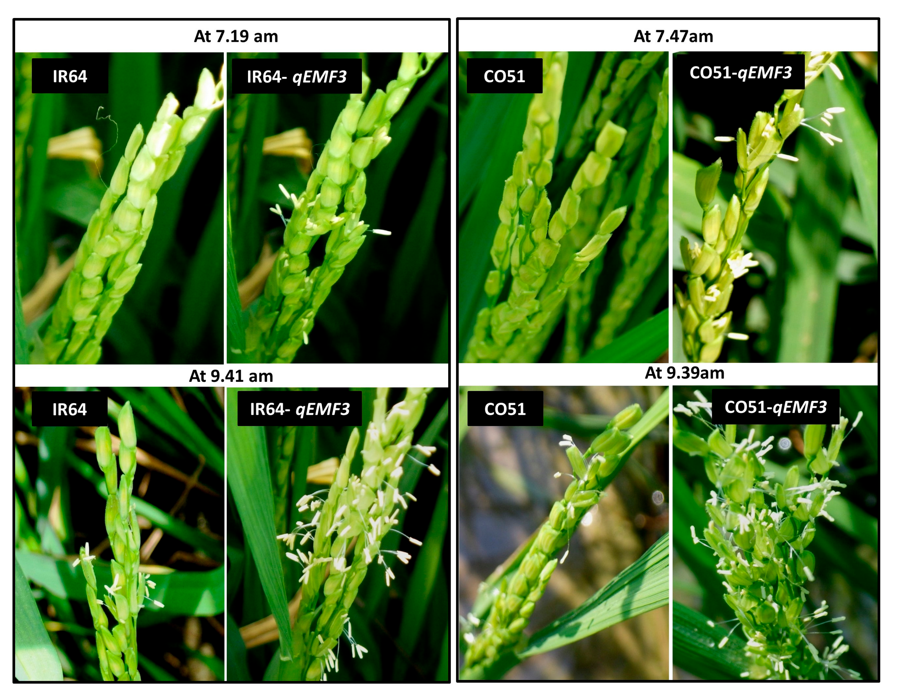 Agriculture 13 00553 g007