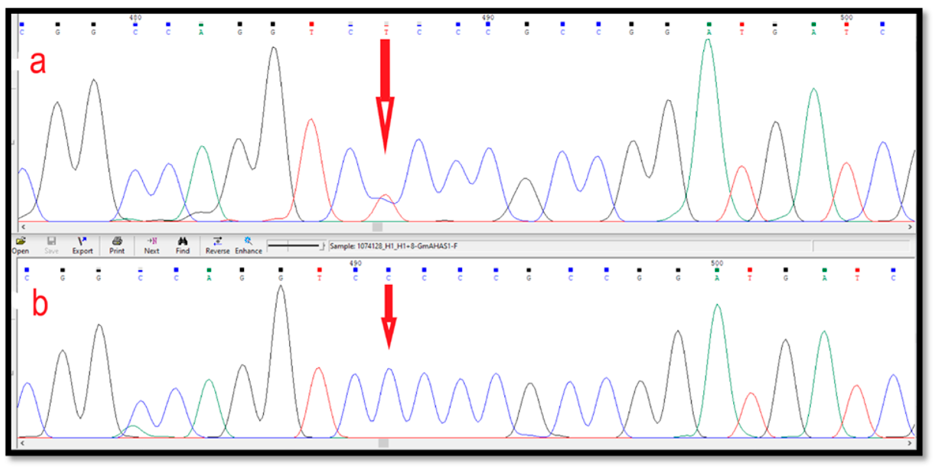 Agriculture 13 00559 g002