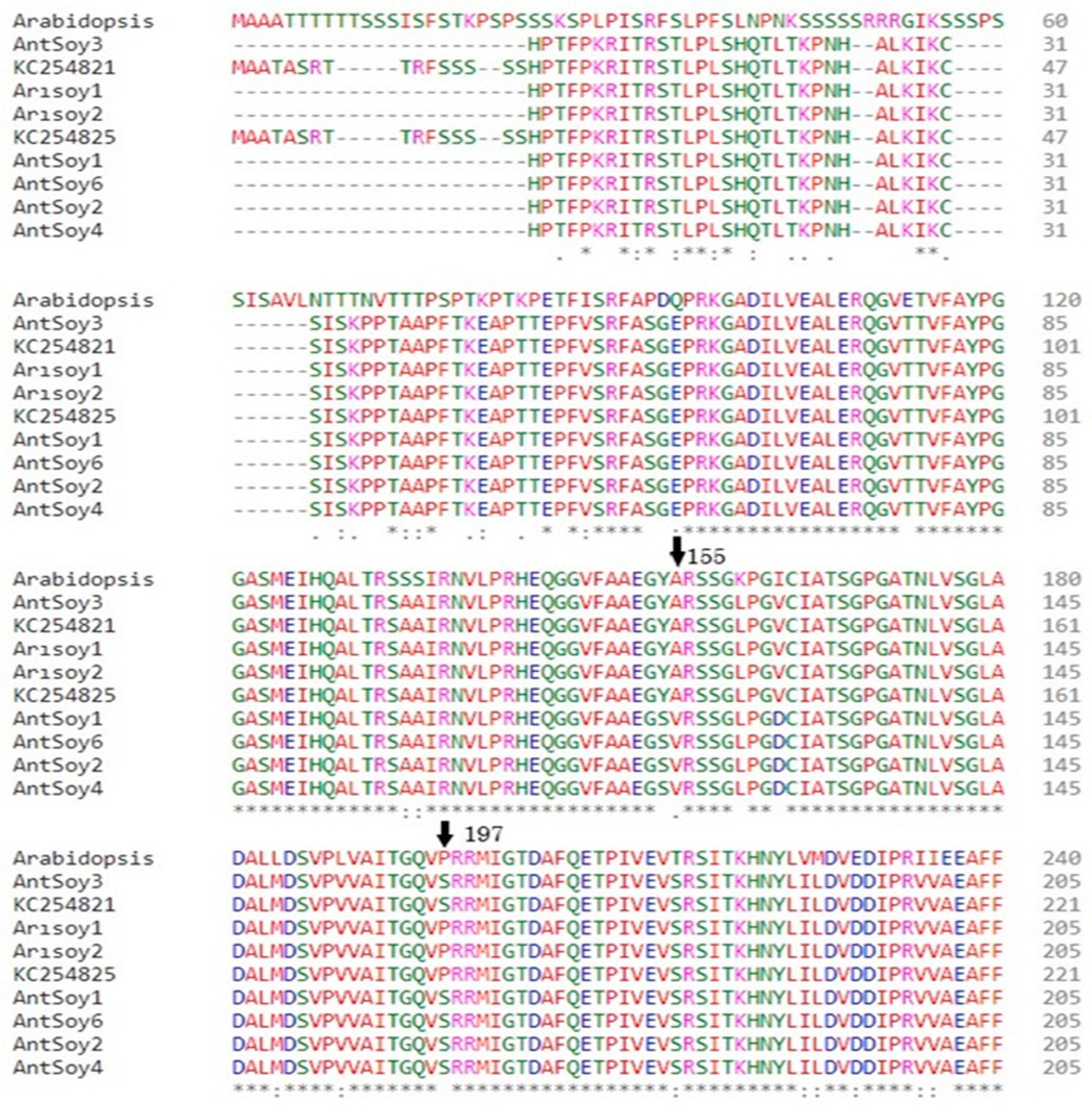 Agriculture 13 00559 g004a