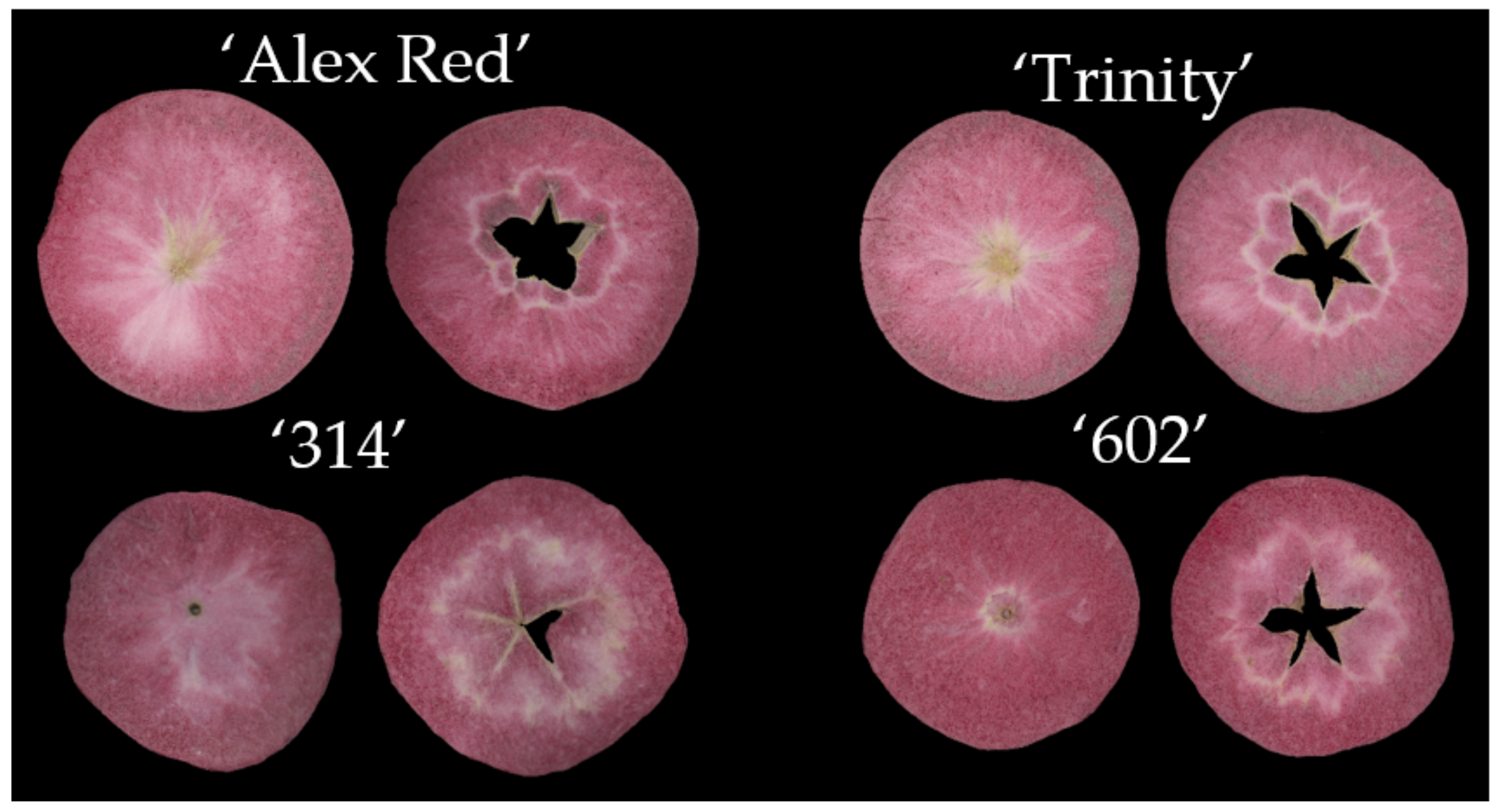 Agriculture 13 00562 g001