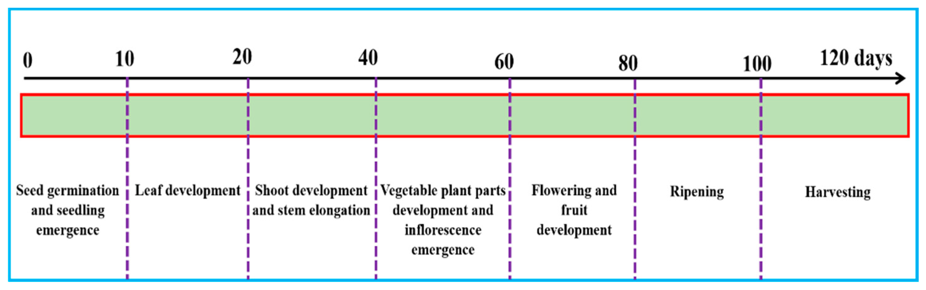 Agriculture 13 00570 g001 Agriculture 13 00570 g001