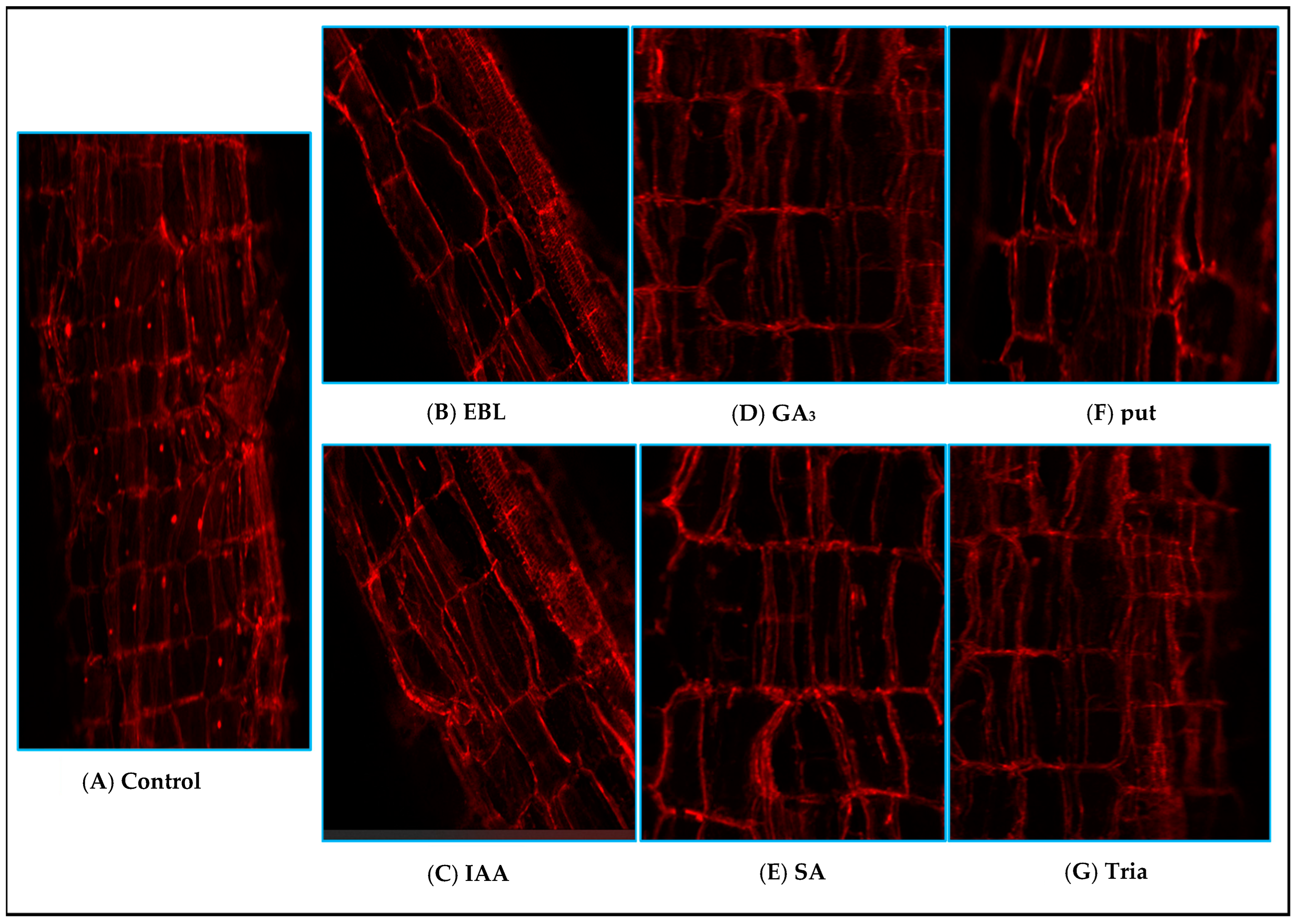 Agriculture 13 00570 g007 Agriculture 13 00570 g007