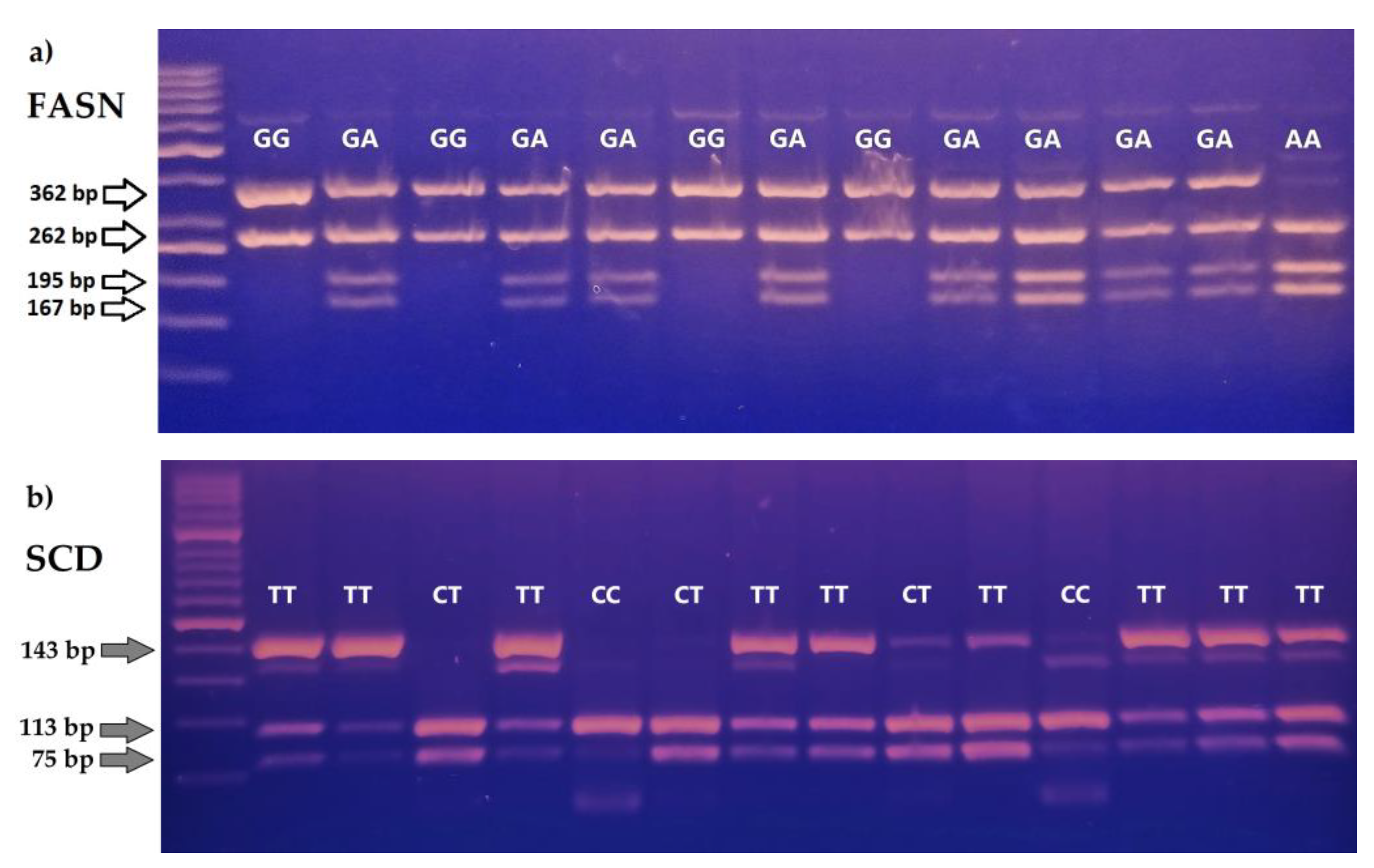 Agriculture 13 00571 g001a