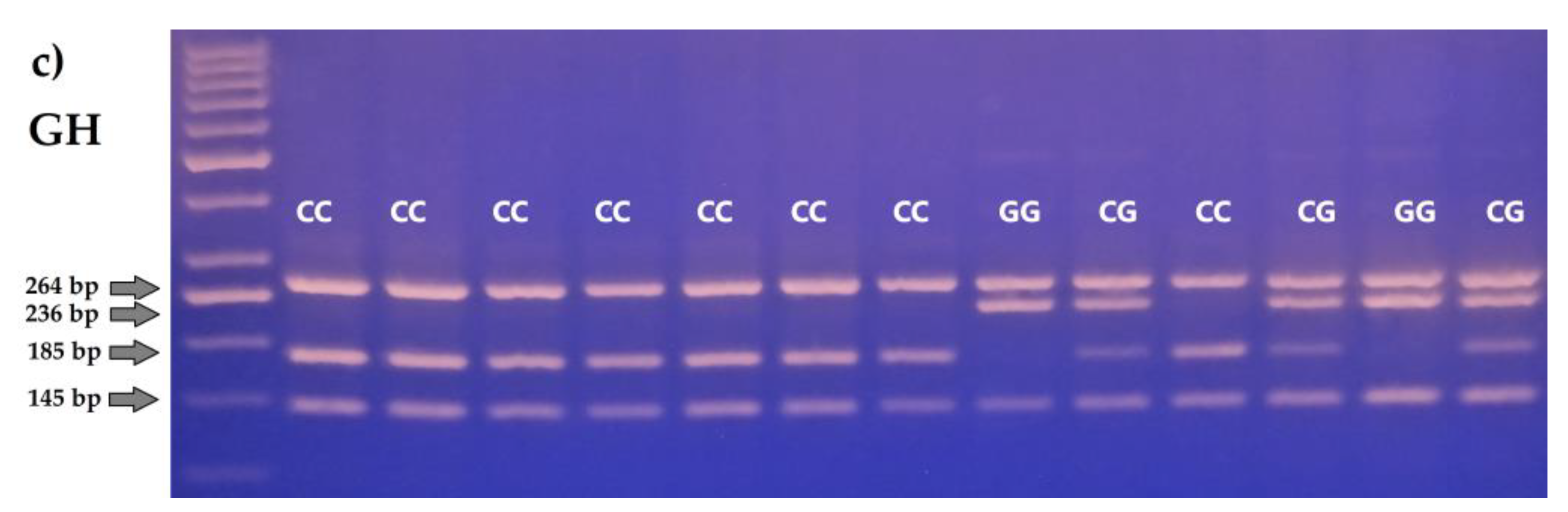 Agriculture 13 00571 g001b