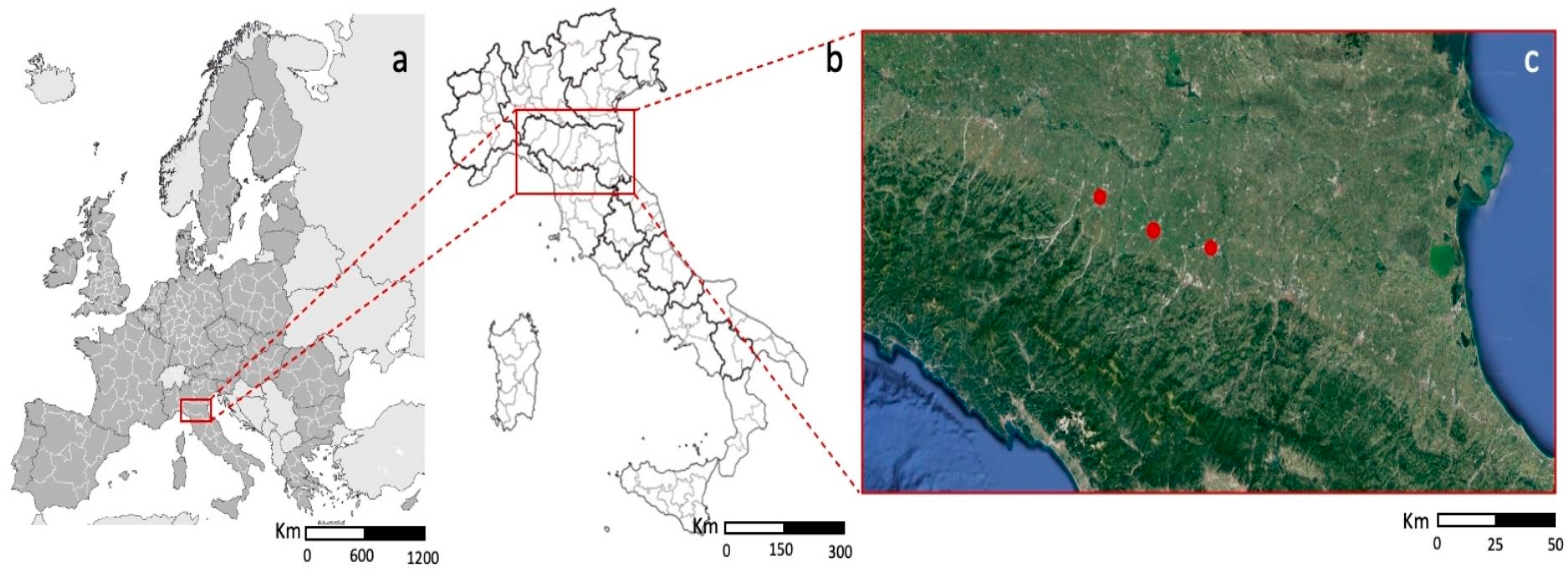 Agriculture 13 00585 g001