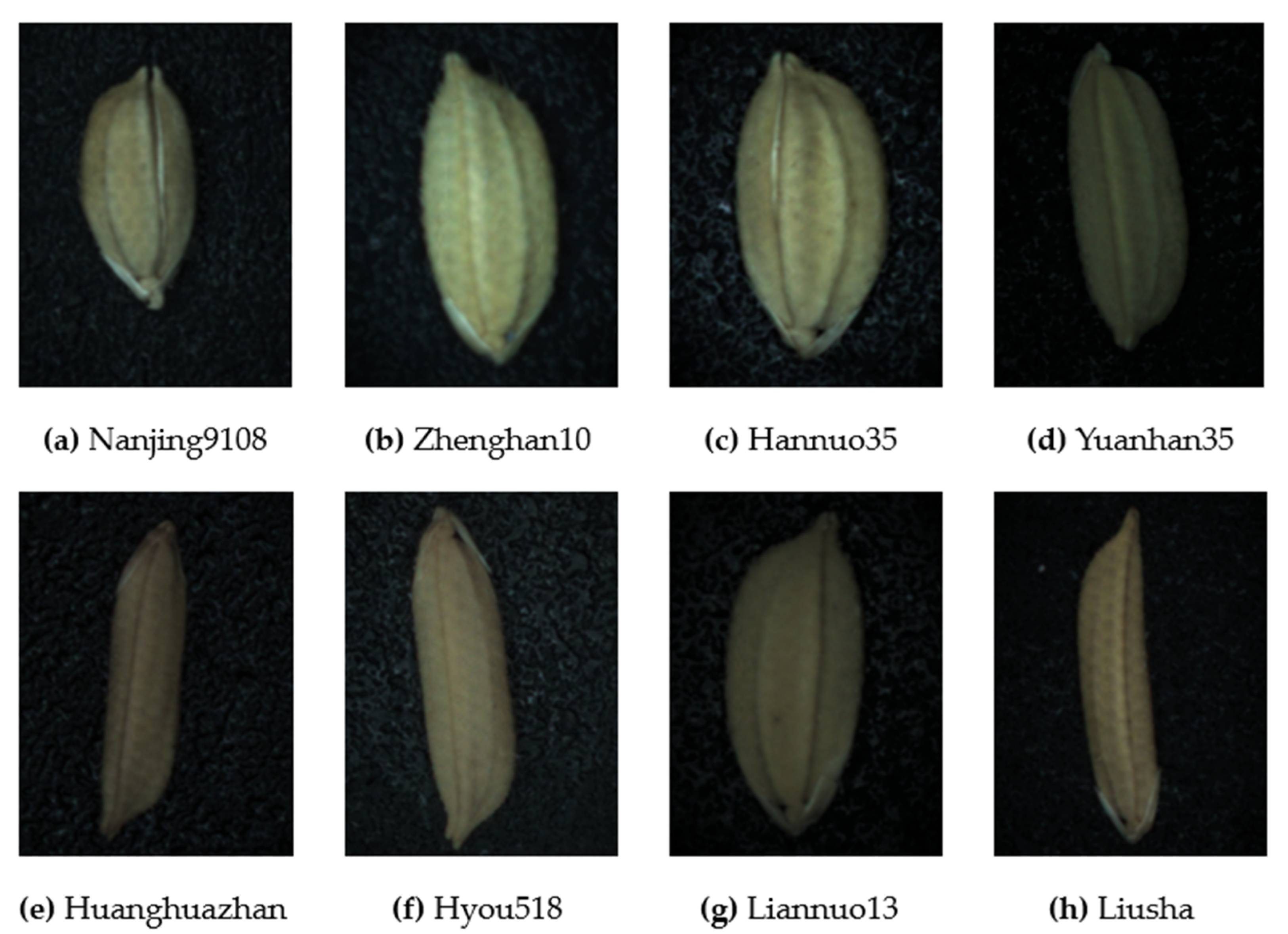 Agriculture 13 00597 g002