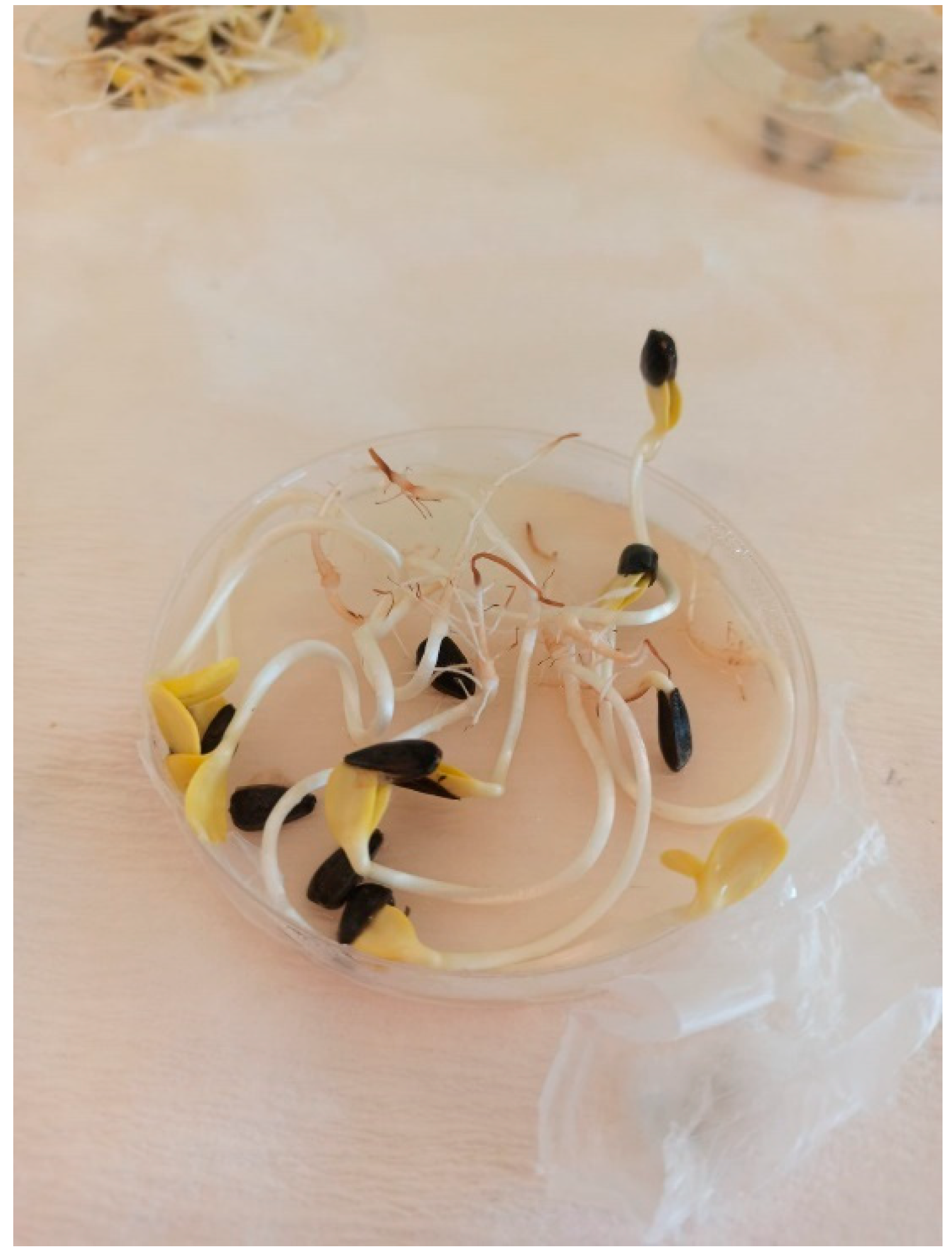 Agriculture 13 00608 g001 Agriculture 13 00608 g001