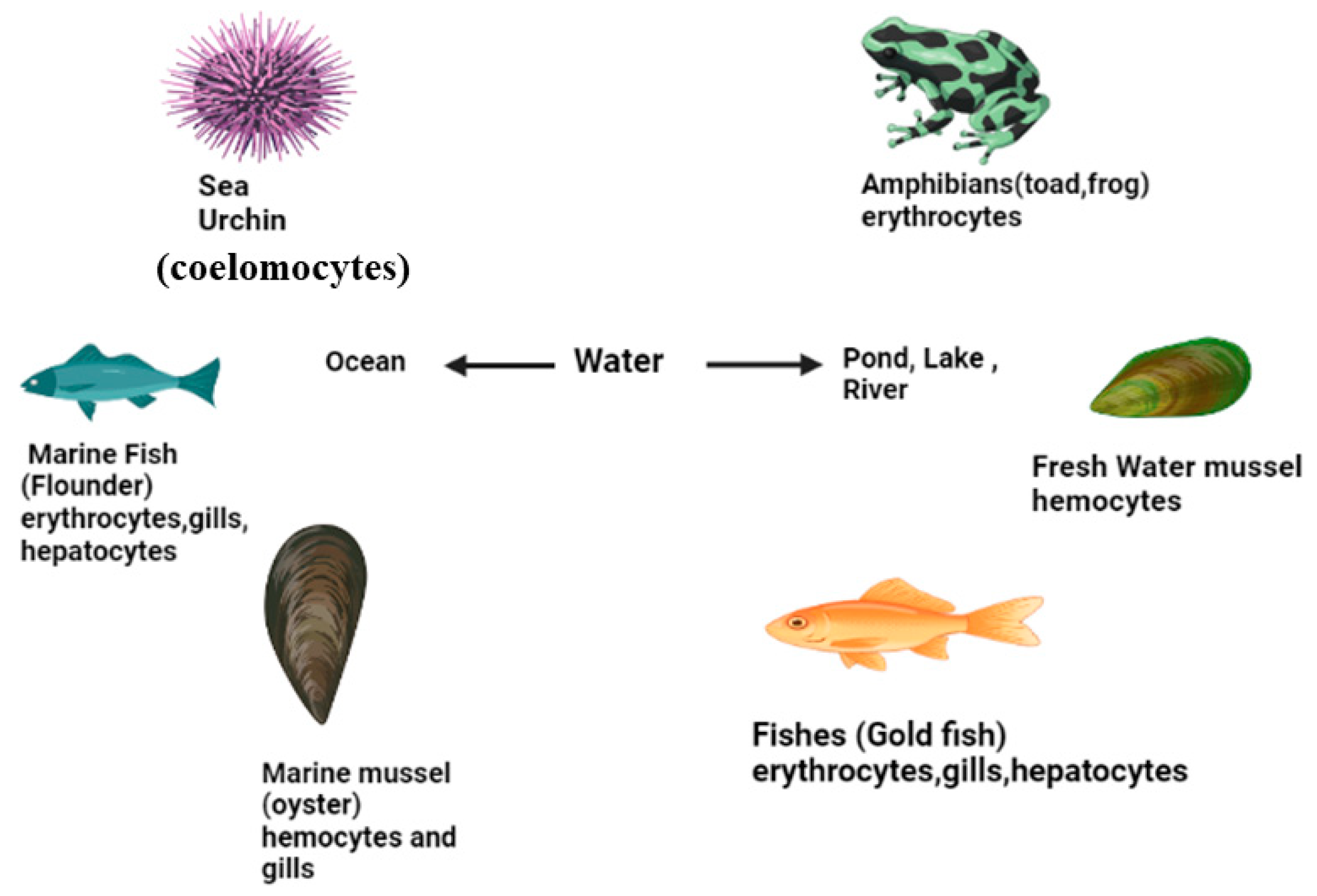 Agriculture 13 00623 g002 Agriculture 13 00623 g002