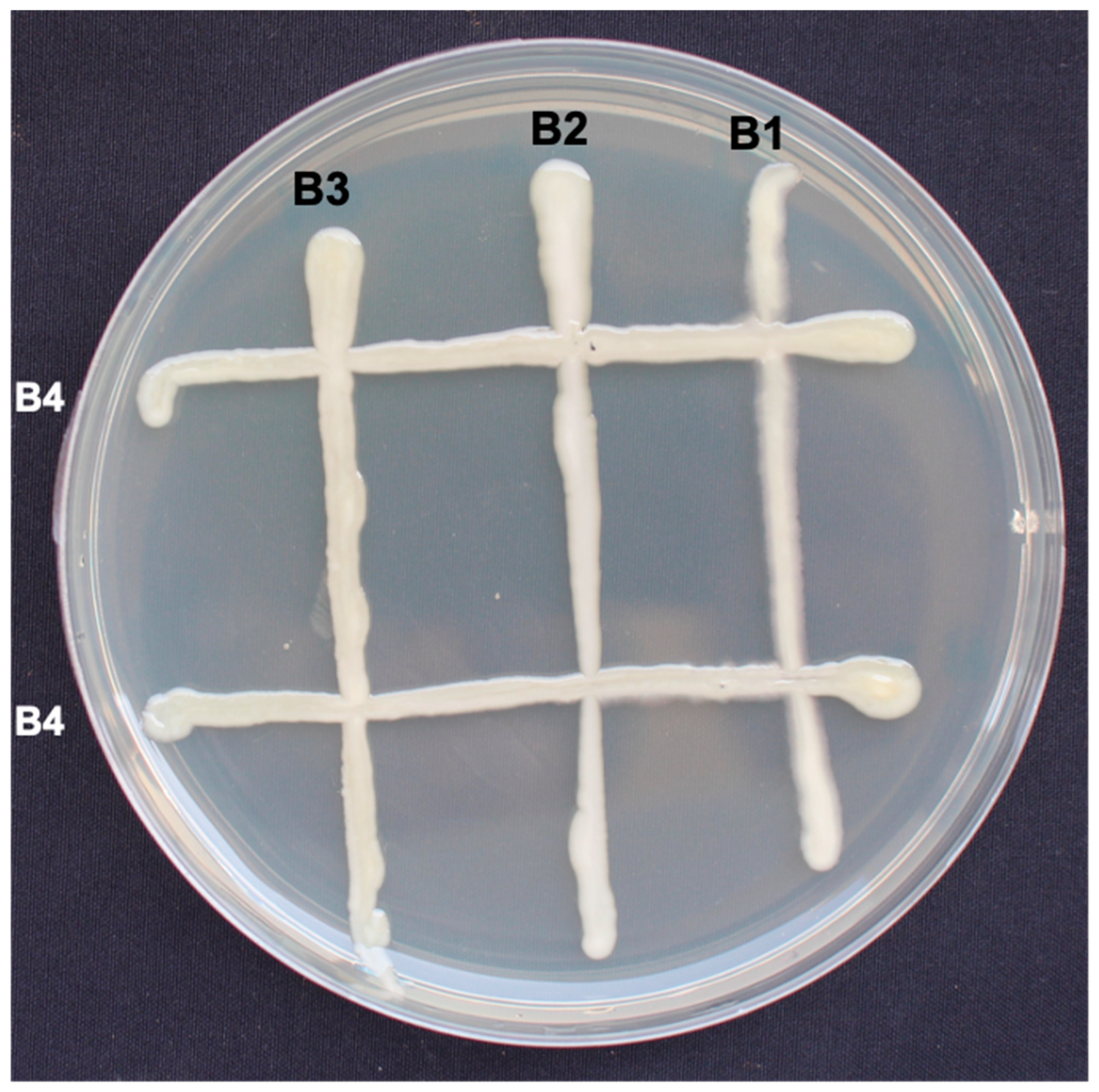 Agriculture 13 00626 g003