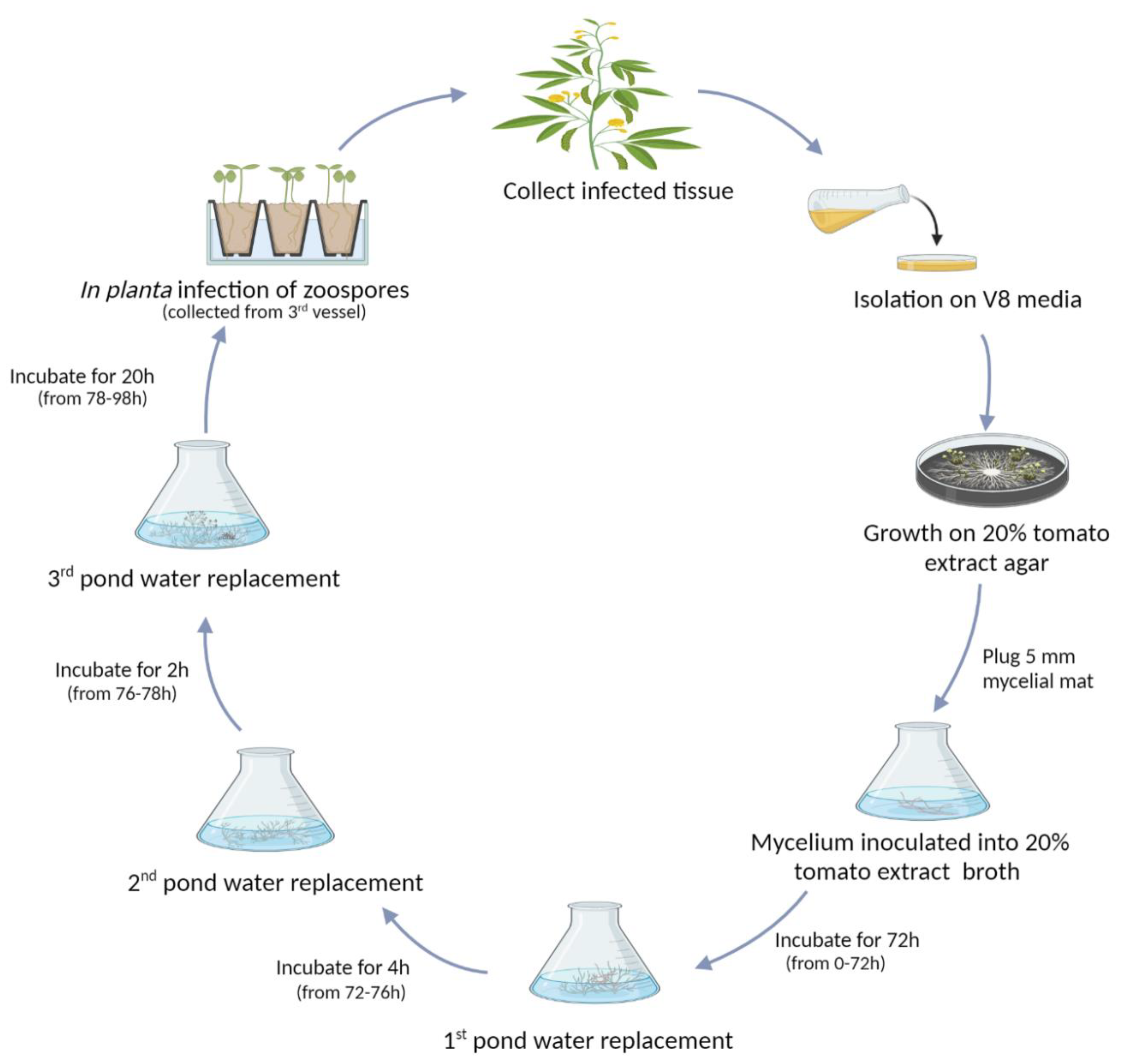 Agriculture 13 00633 g001 Agriculture 13 00633 g001