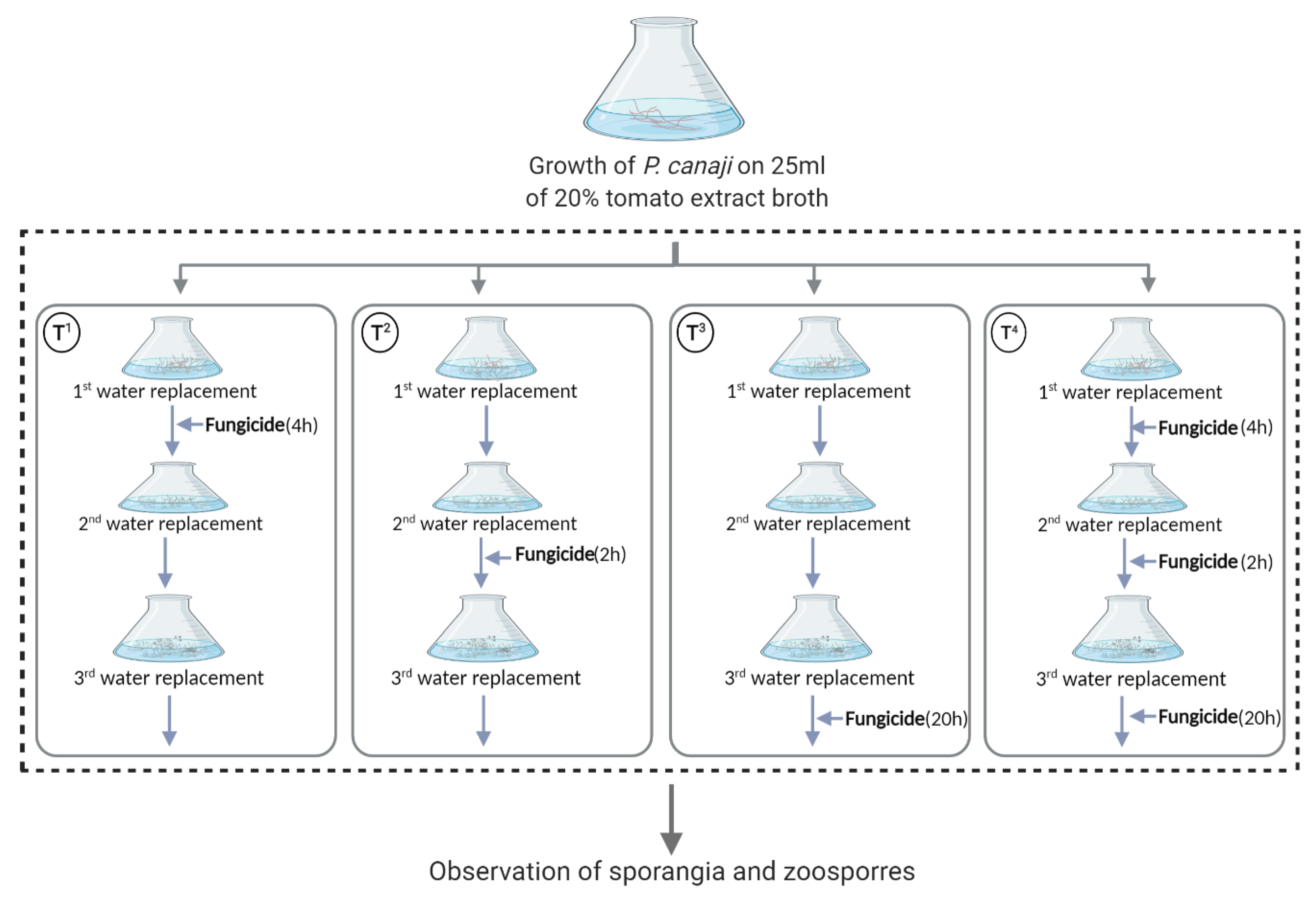 Agriculture 13 00633 g002 Agriculture 13 00633 g002