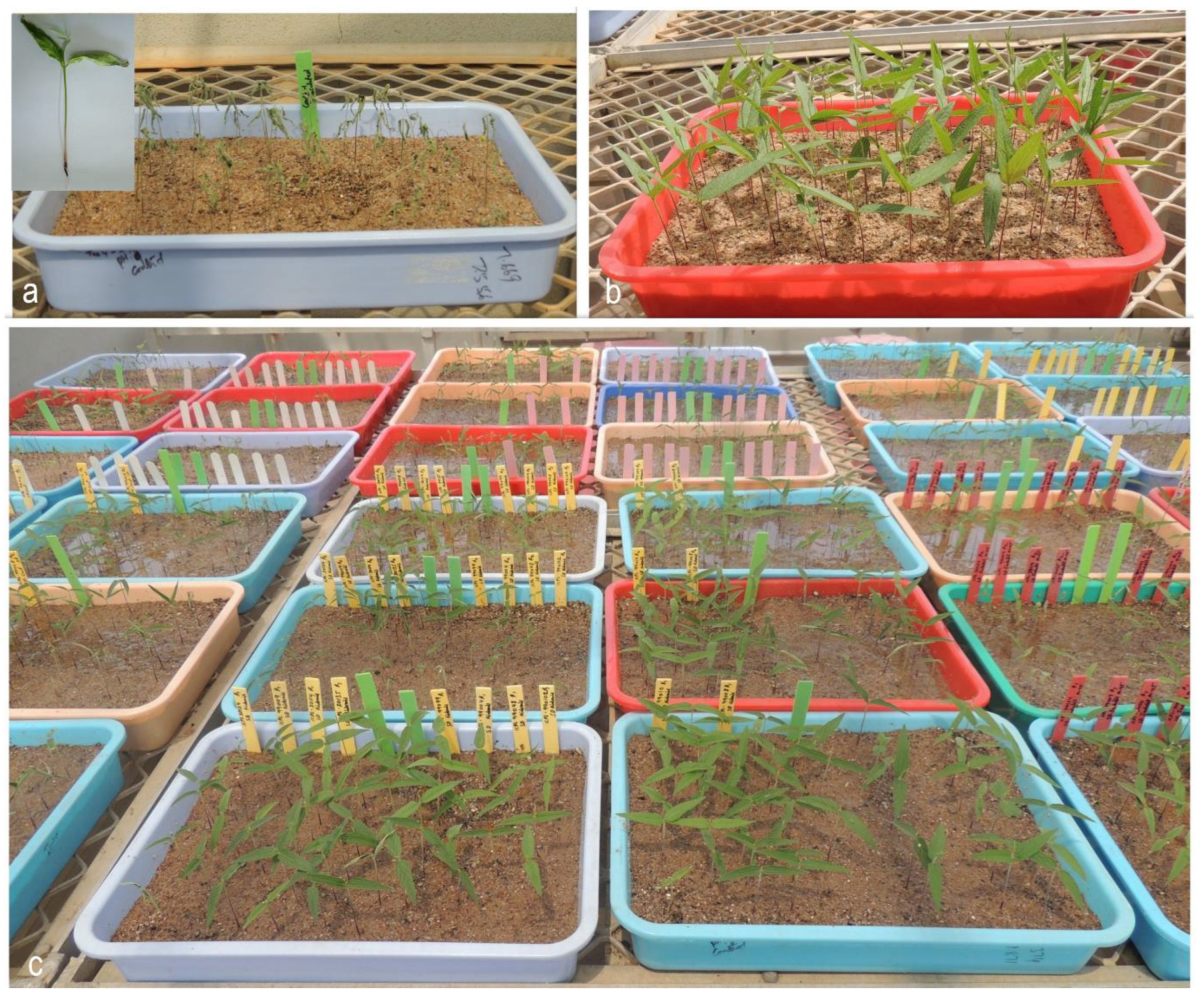 Agriculture 13 00633 g003 Agriculture 13 00633 g003