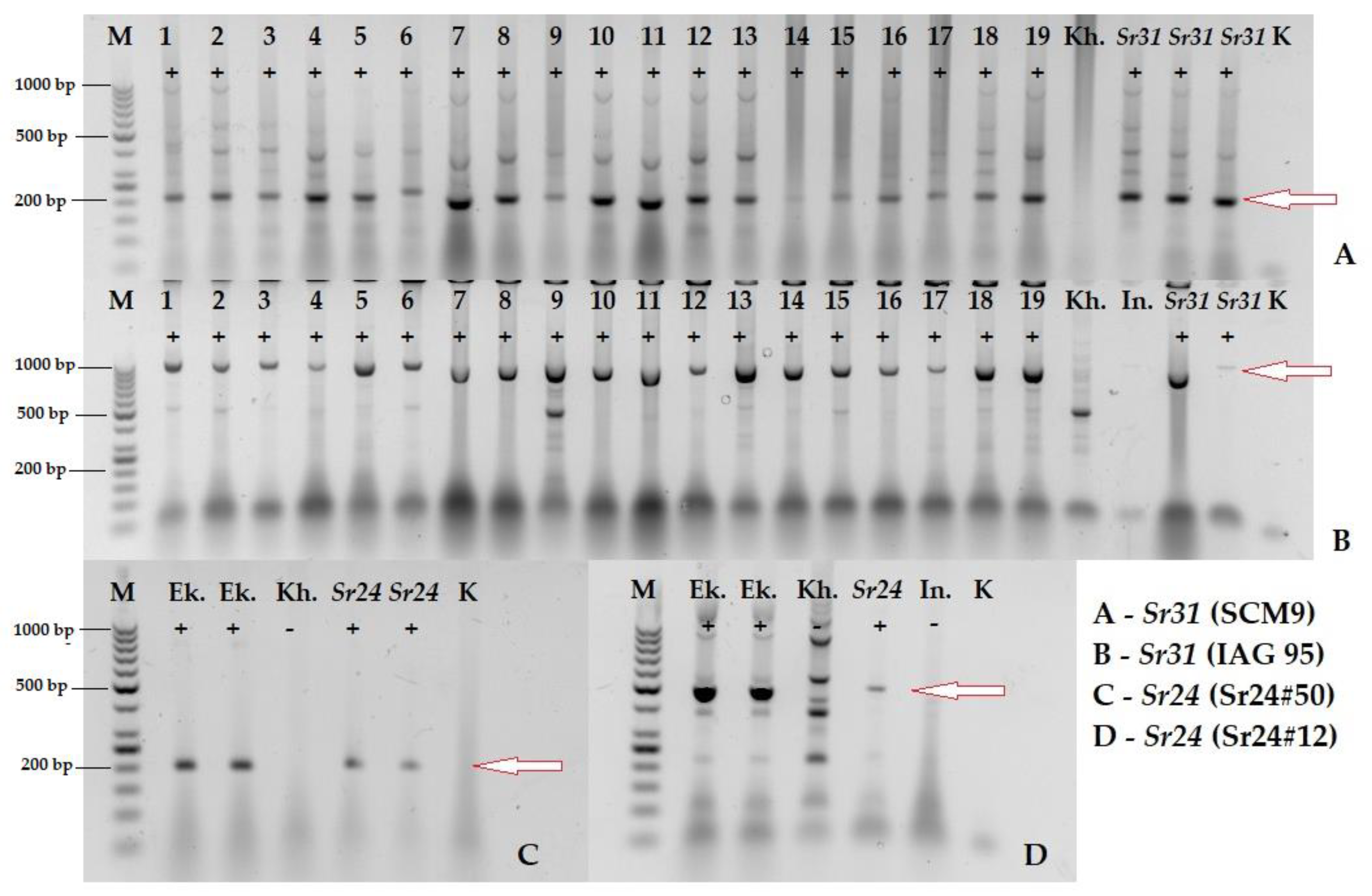 Agriculture 13 00635 g002